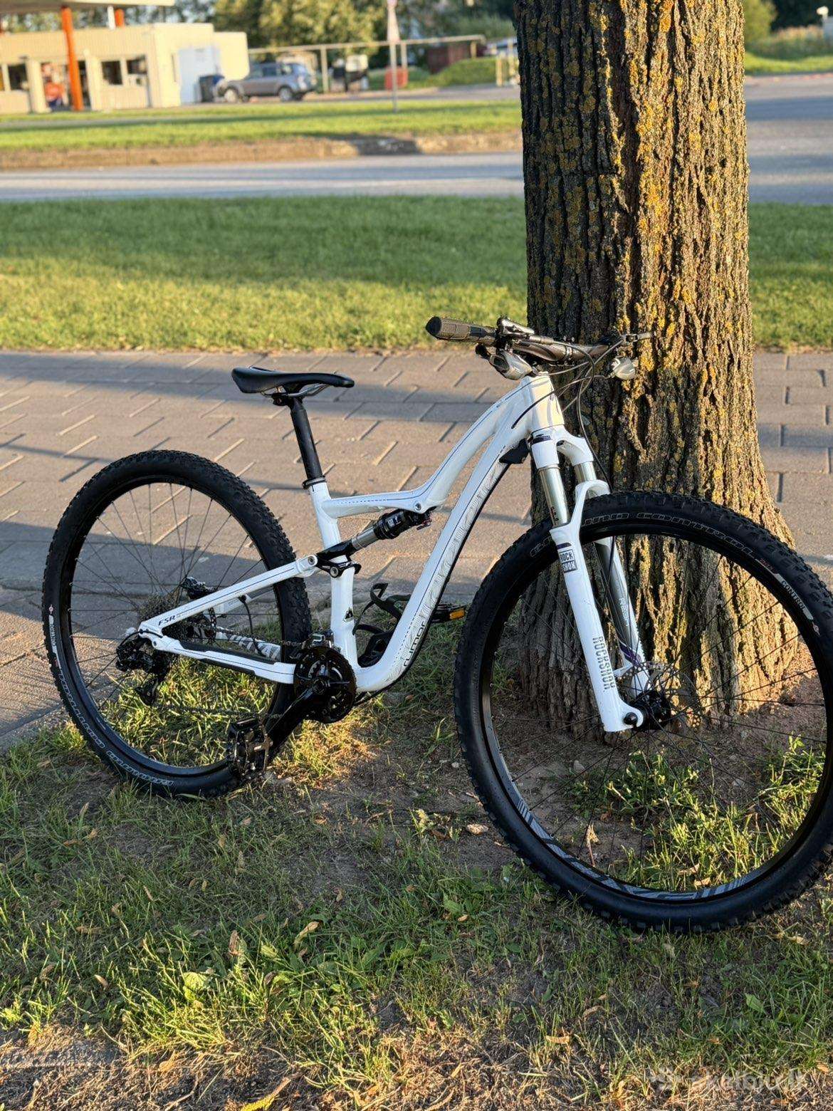 Specialized Rumor Comp