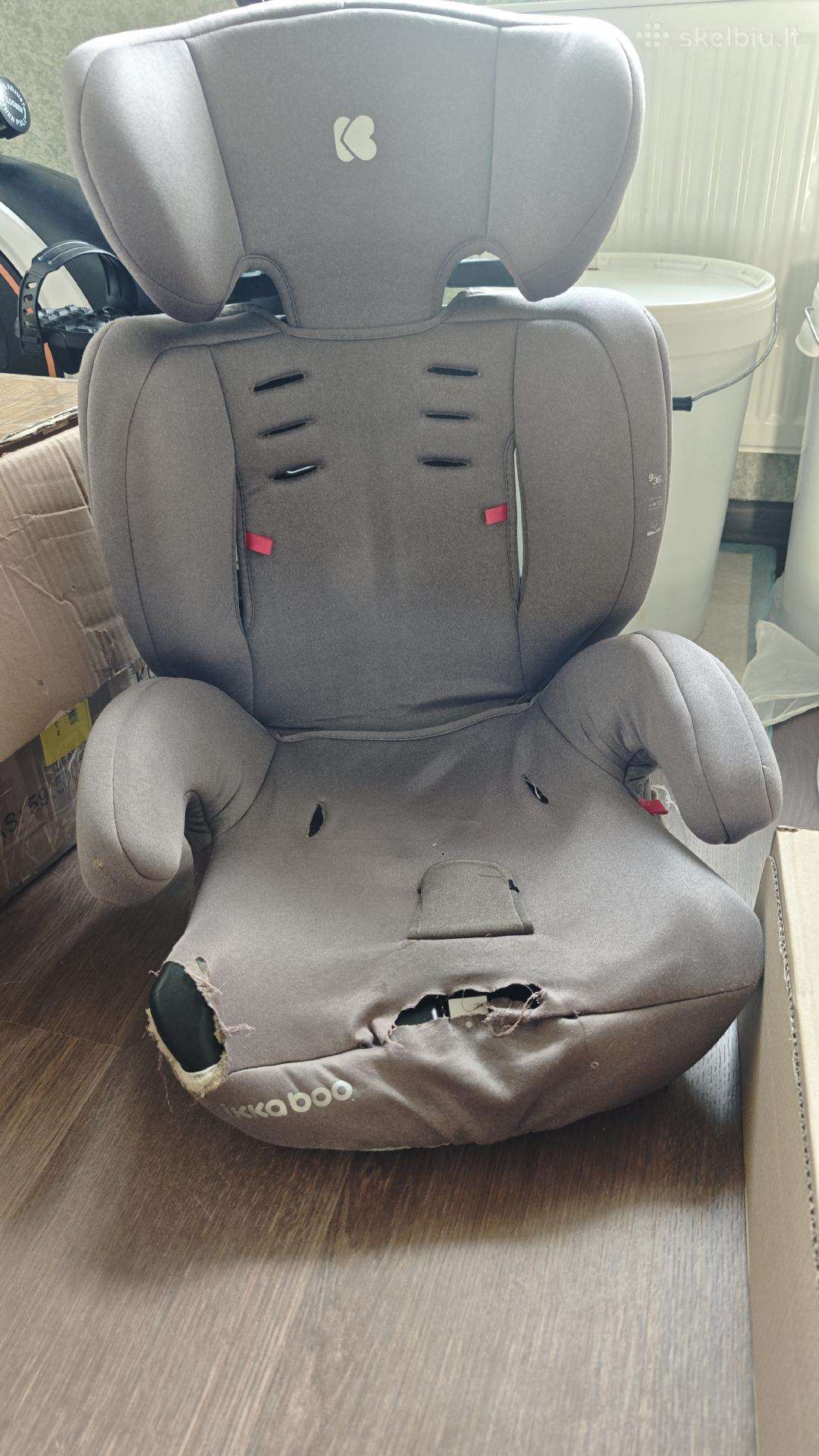 Auto kedute