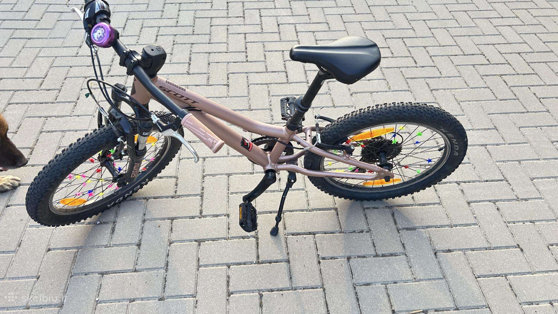 Scott contessa 20