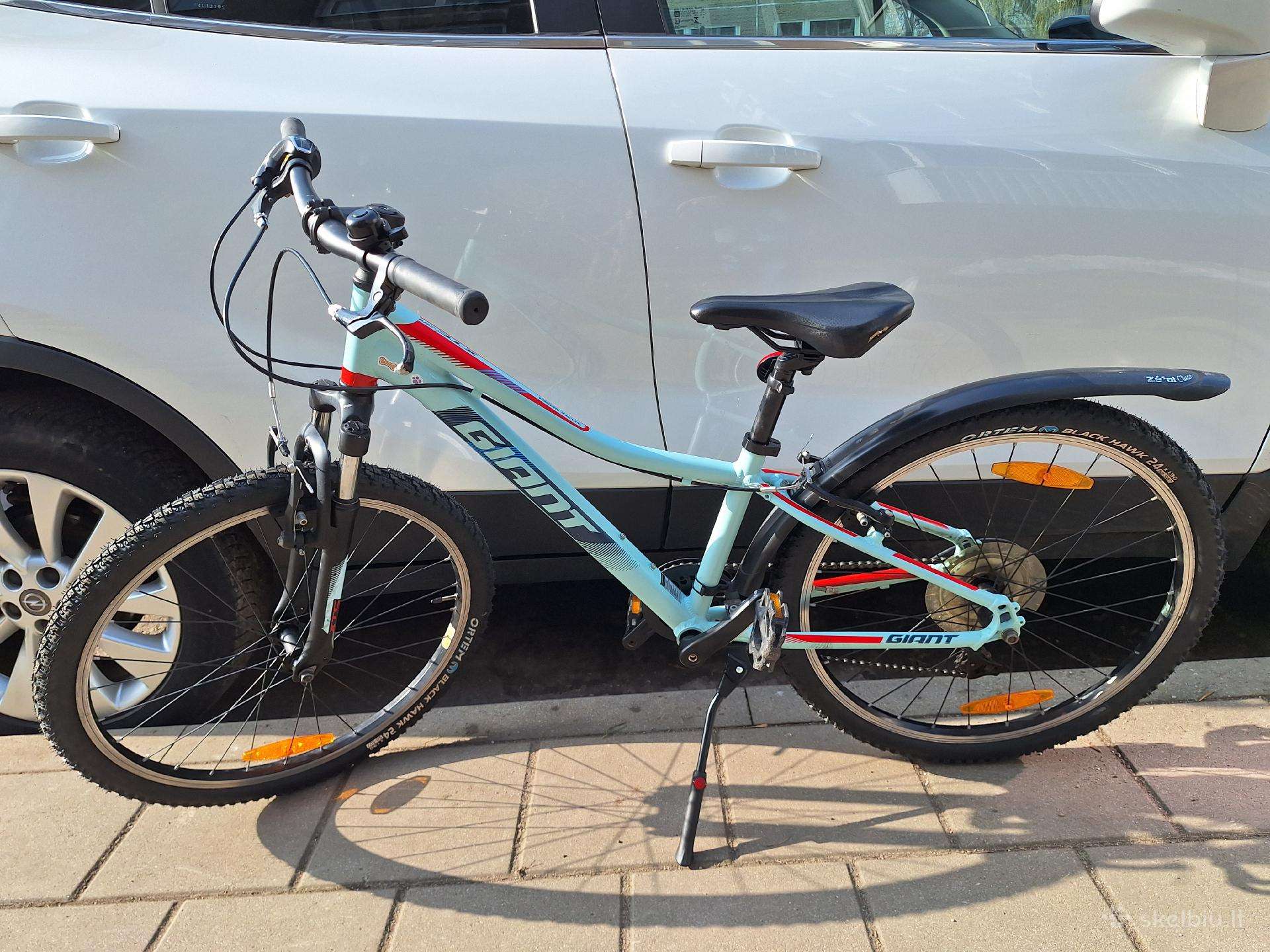 Giant junior 24