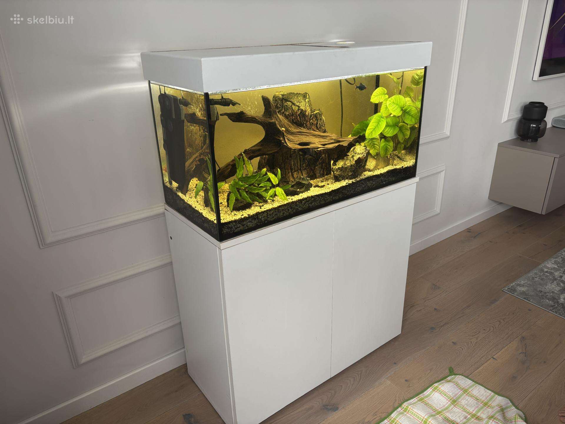 Baltos spalvos akvariumas su spintele (100l)