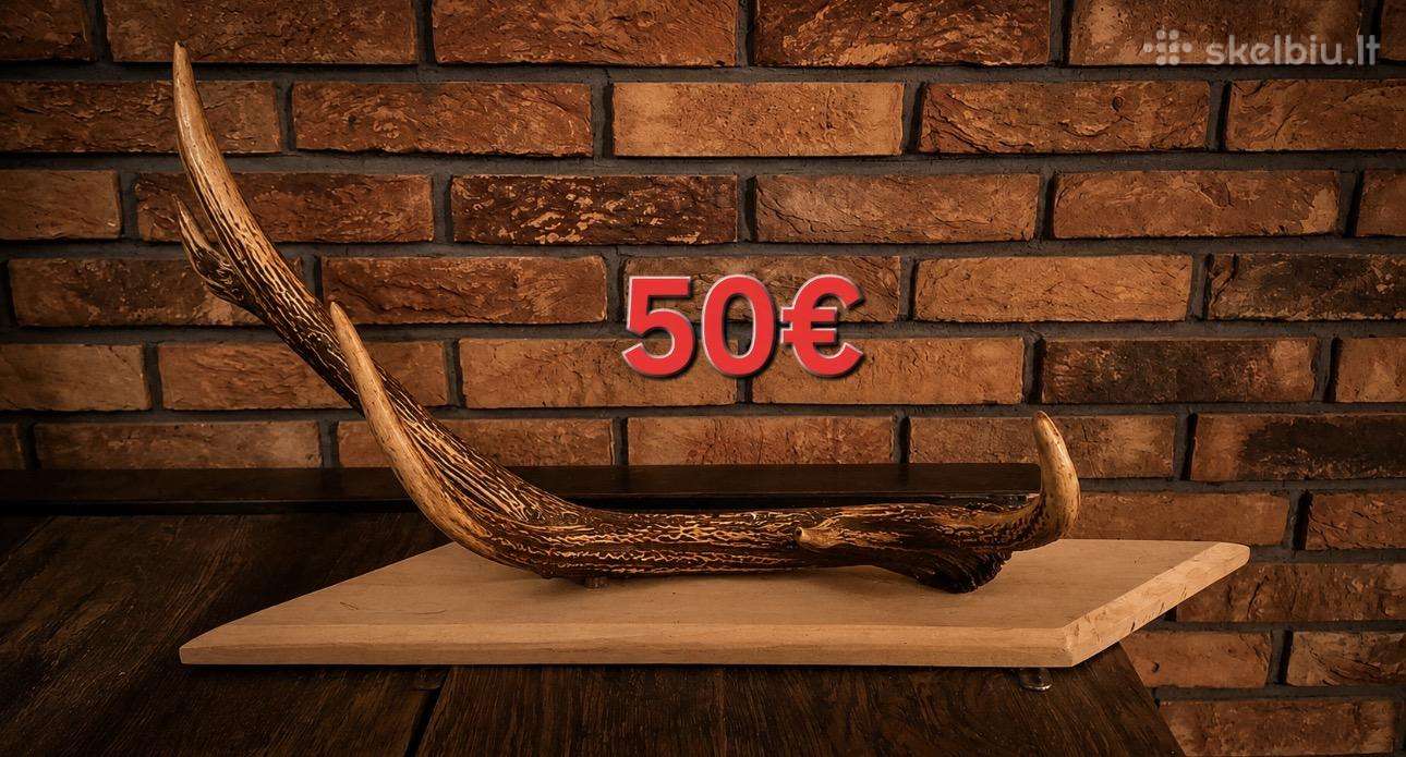 Dekoratyviniai ragai