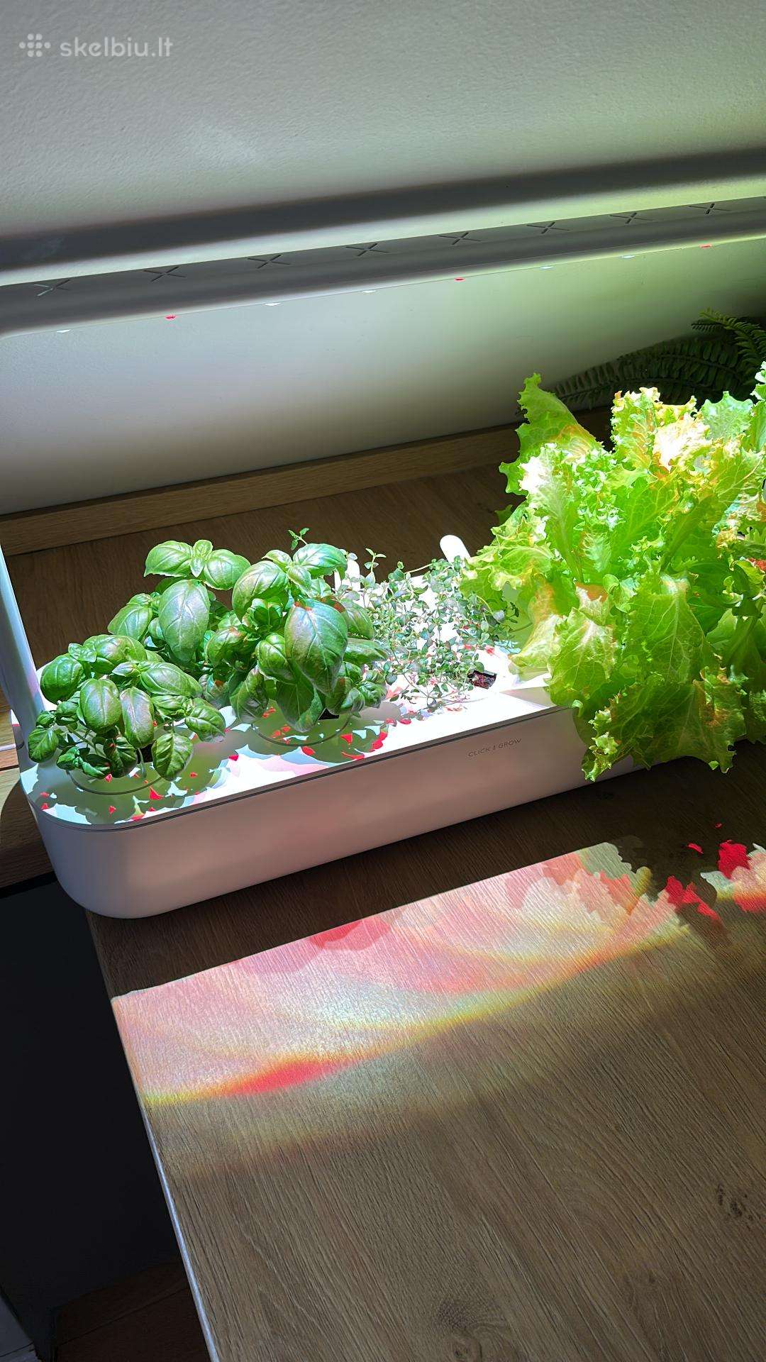Click & Grow Smart Garden 9