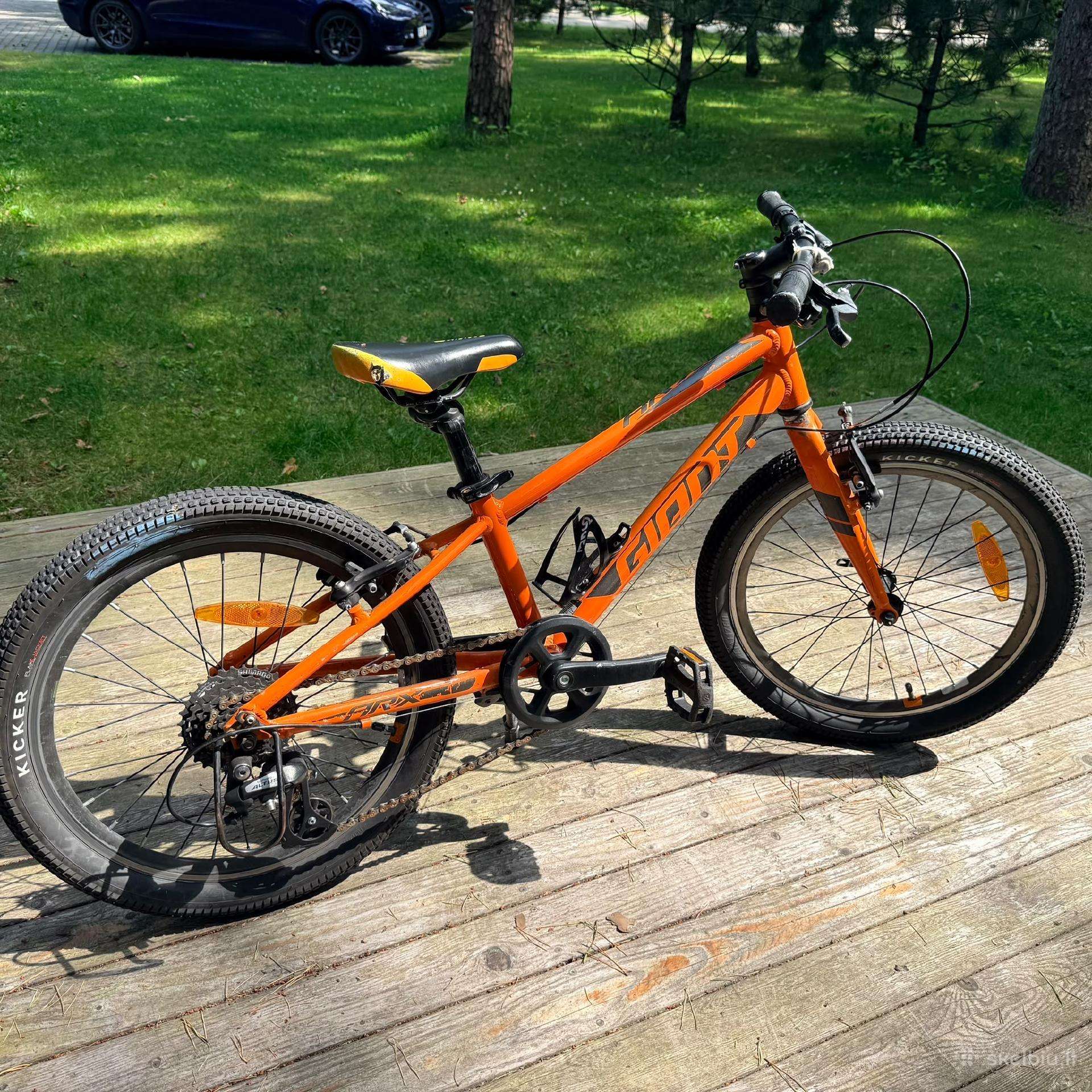 Giant dviratis 20inch ratai