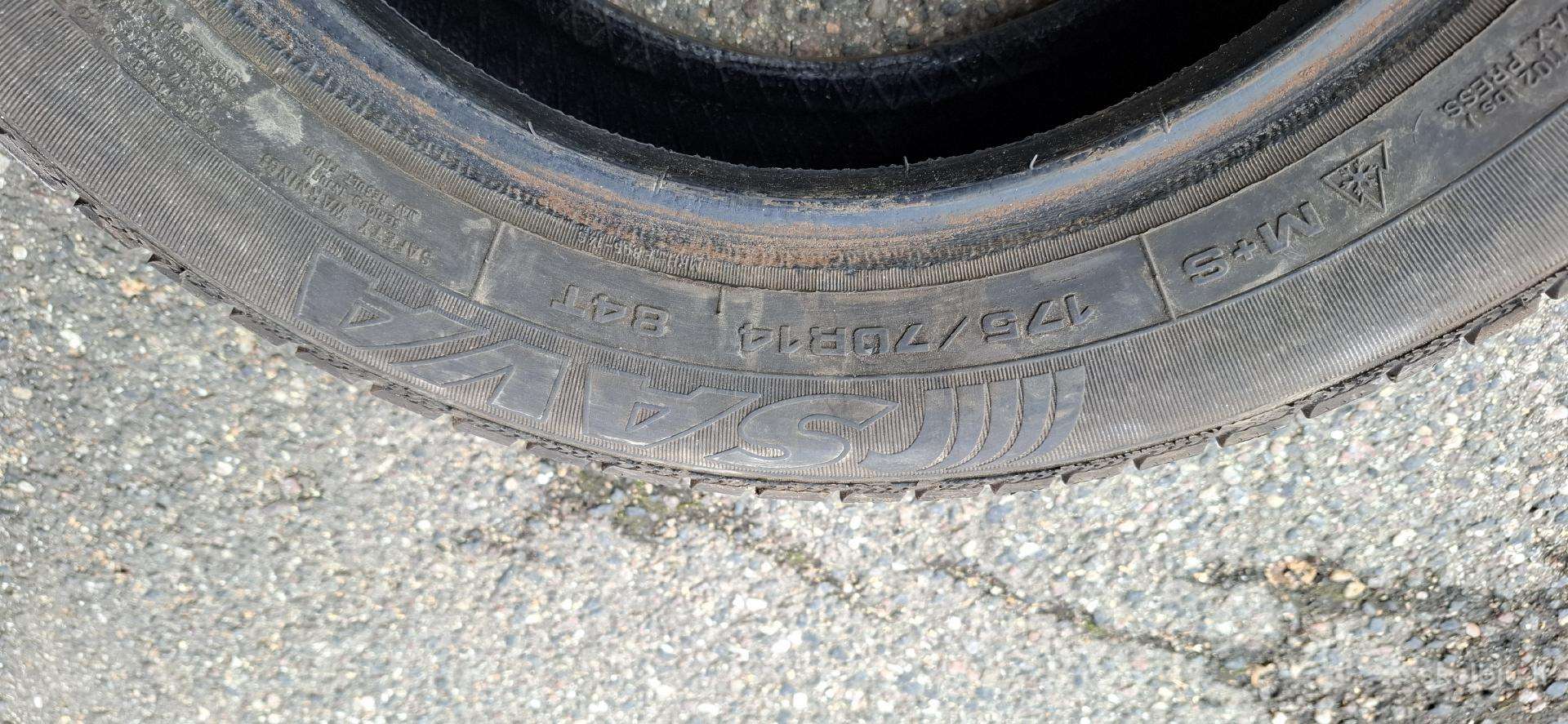 Sava, žieminės 175/70 R14