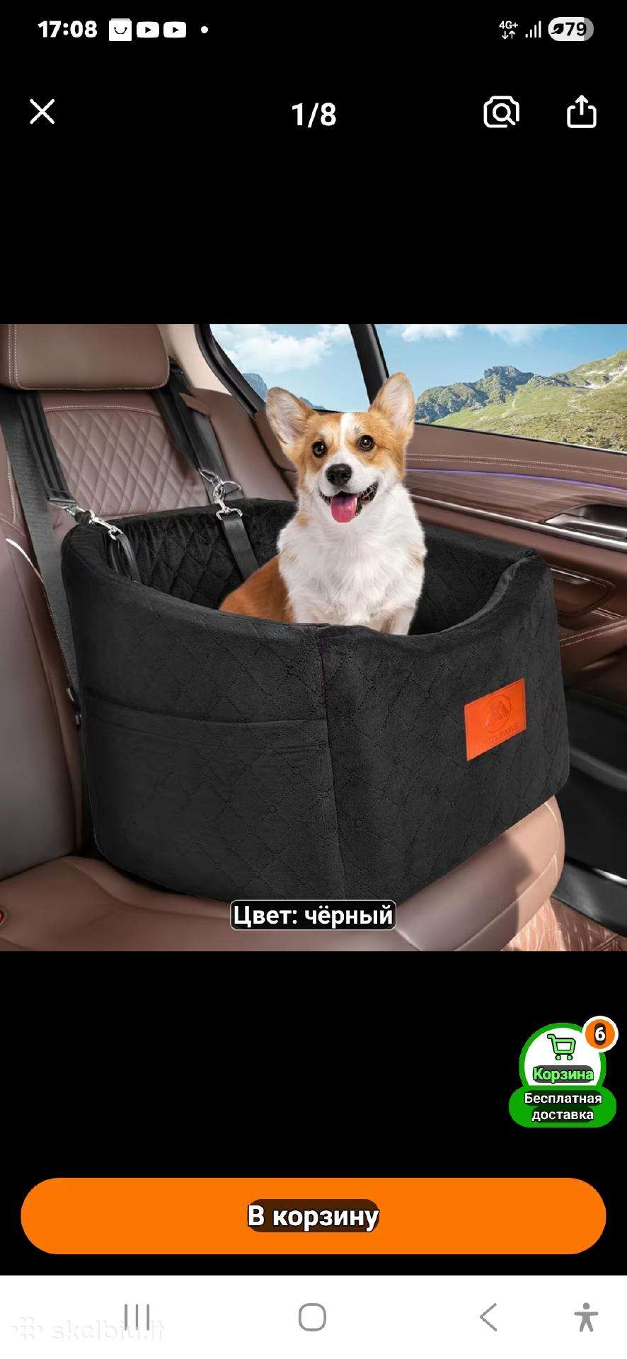 Gyvūnų automobilinė kėdutė