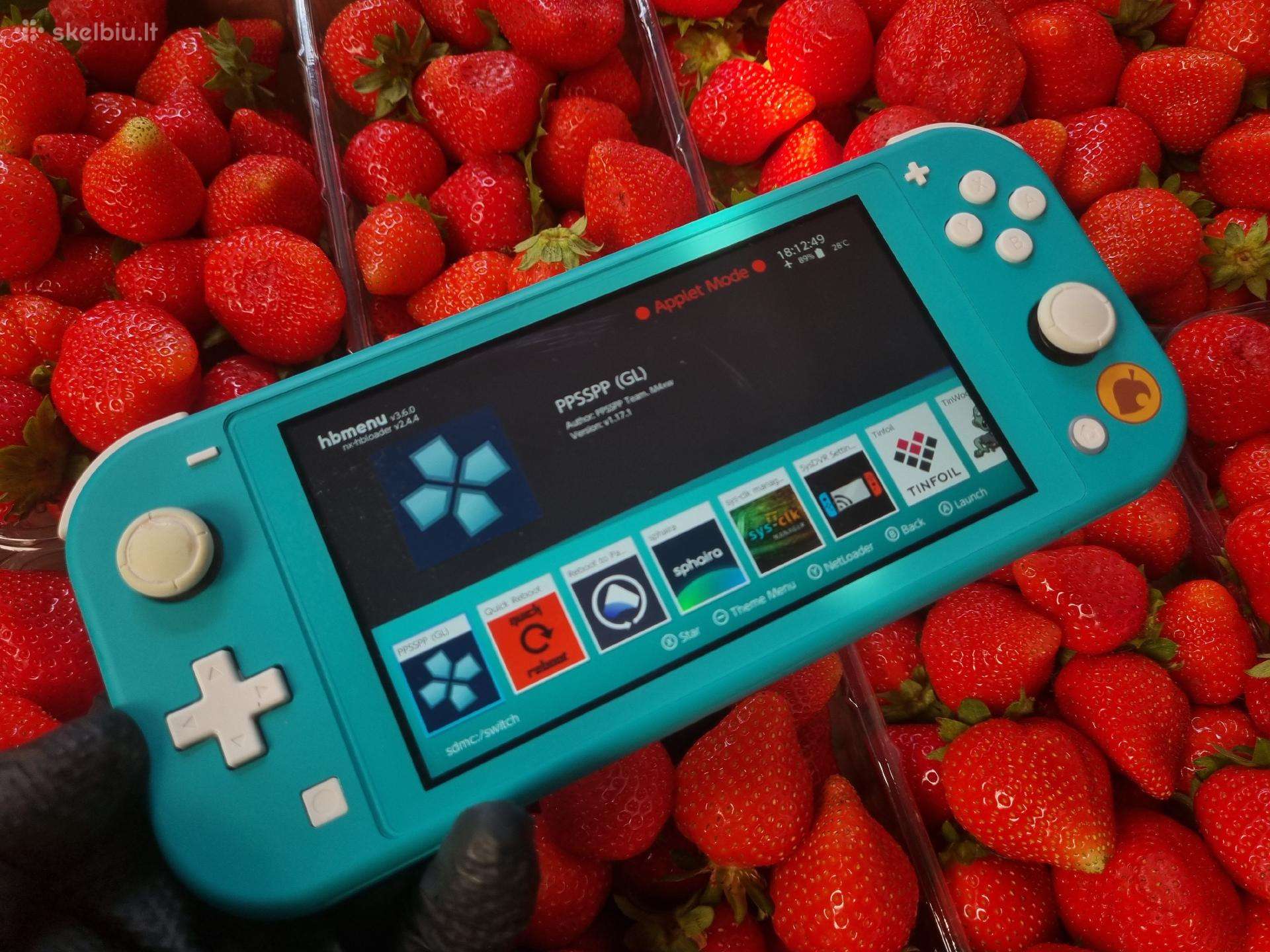 Atrištas Switch Lite