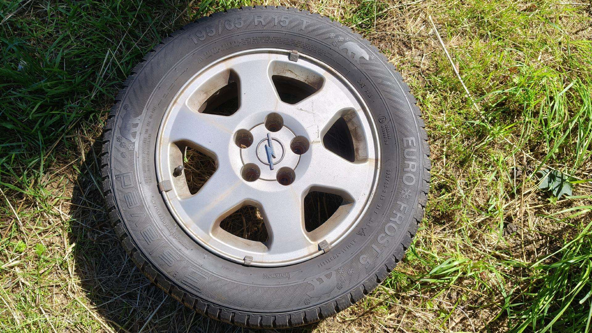 Gislaved Euro Frost 5 195/65/r15