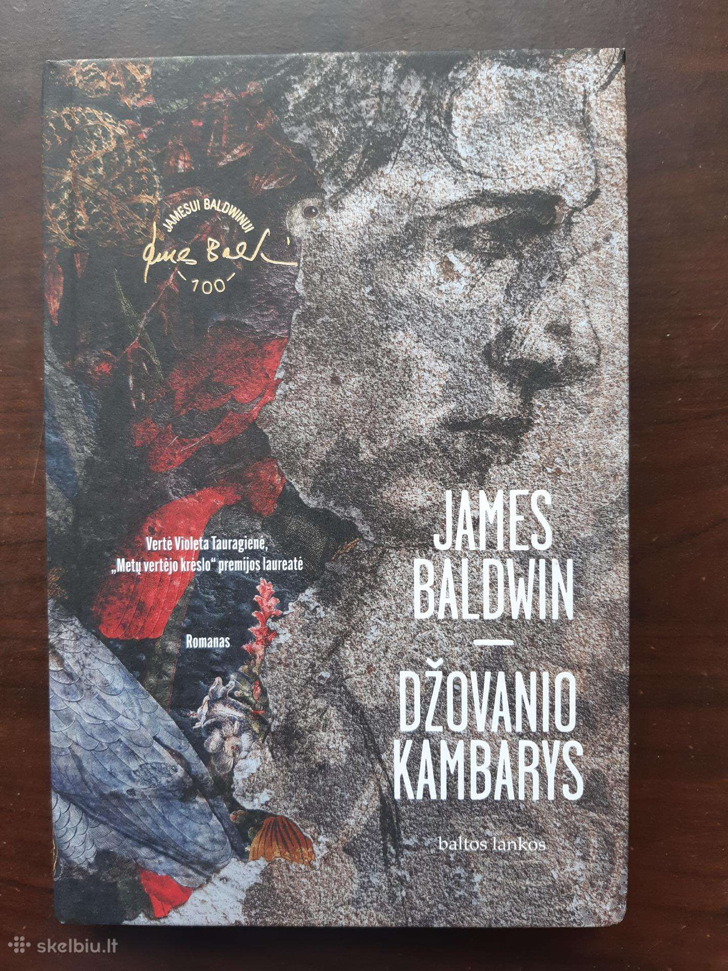 Knyga "Džovanio kambarys"