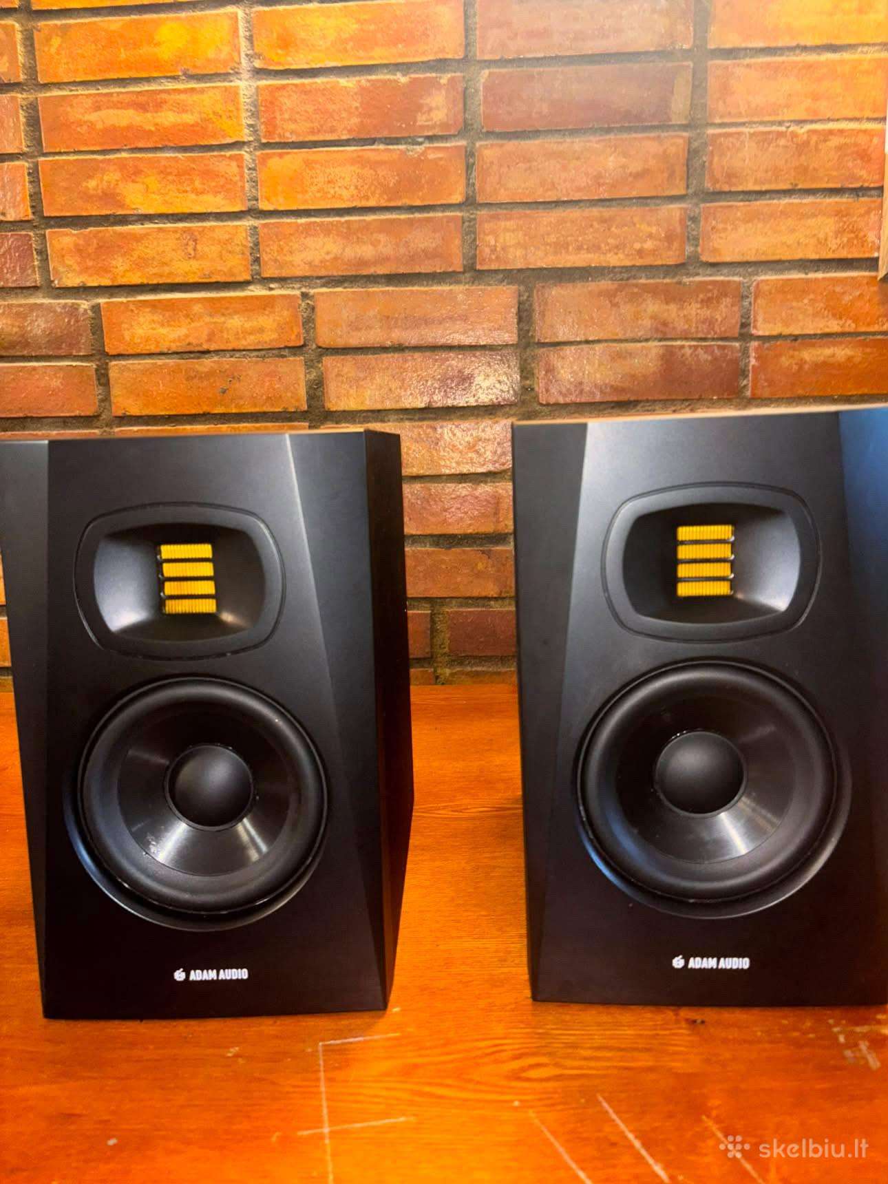 Adam studio t5v