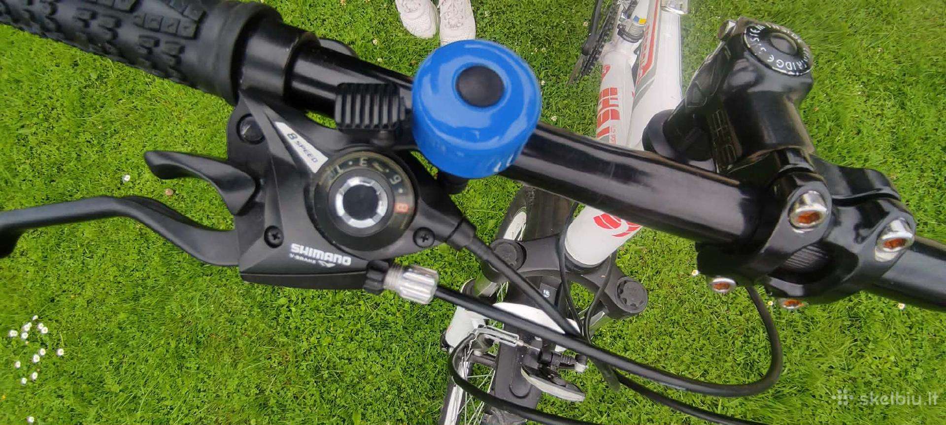 Mountain bike DHS 26″