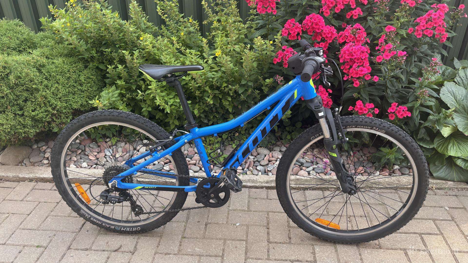 Scott dviratis jr 24