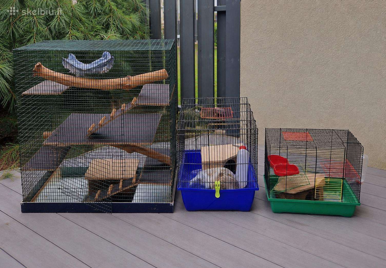 3 graužikams narvai, narvas – nuo 5€