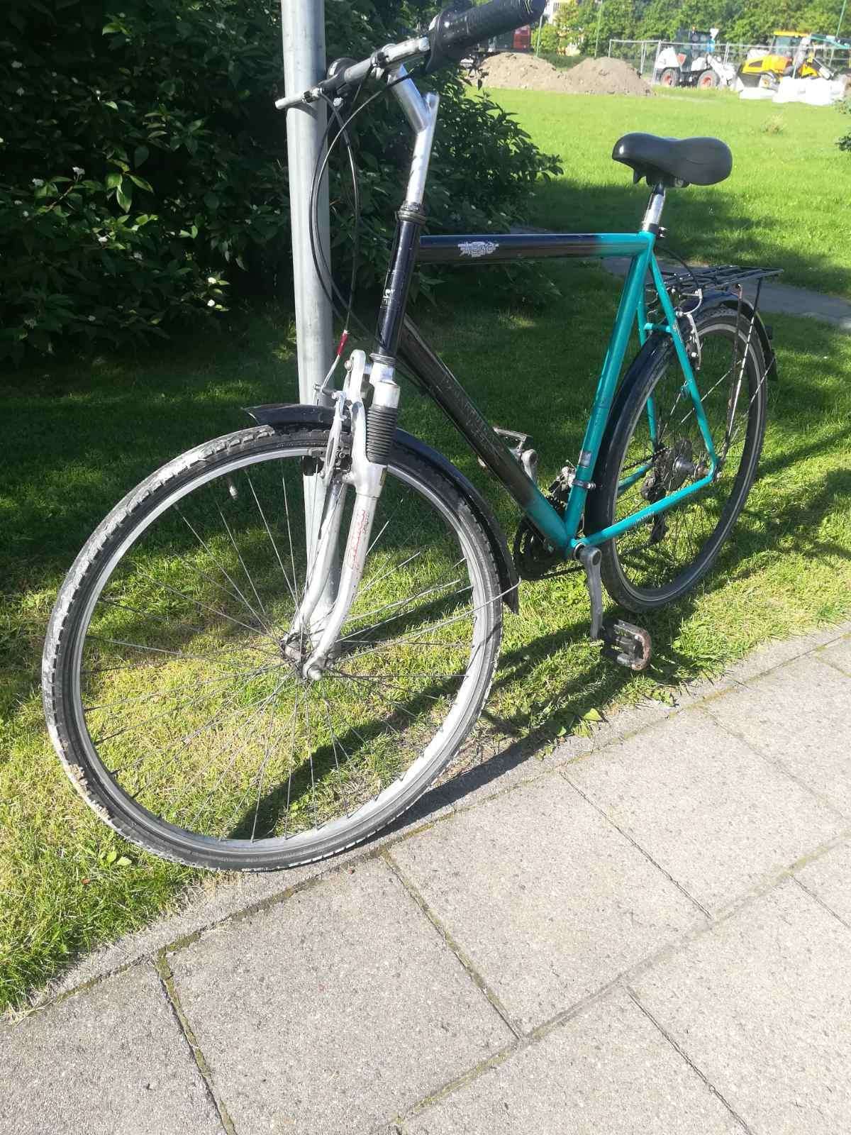 Panthers 28"