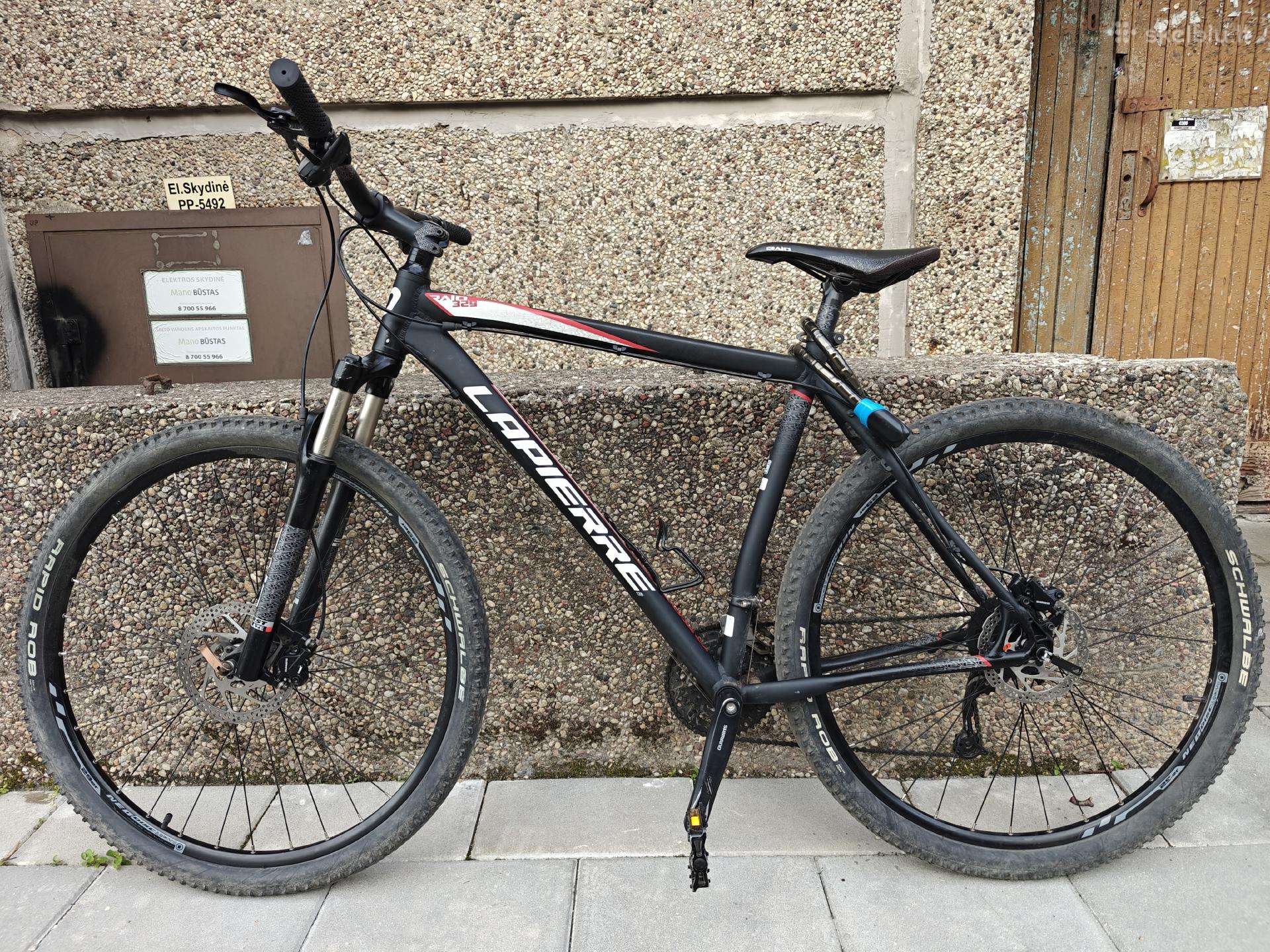 Dviratis XL 29"
