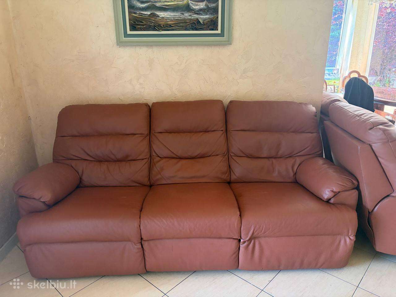 Ruda 2 ir 3 dalių odinė sofa