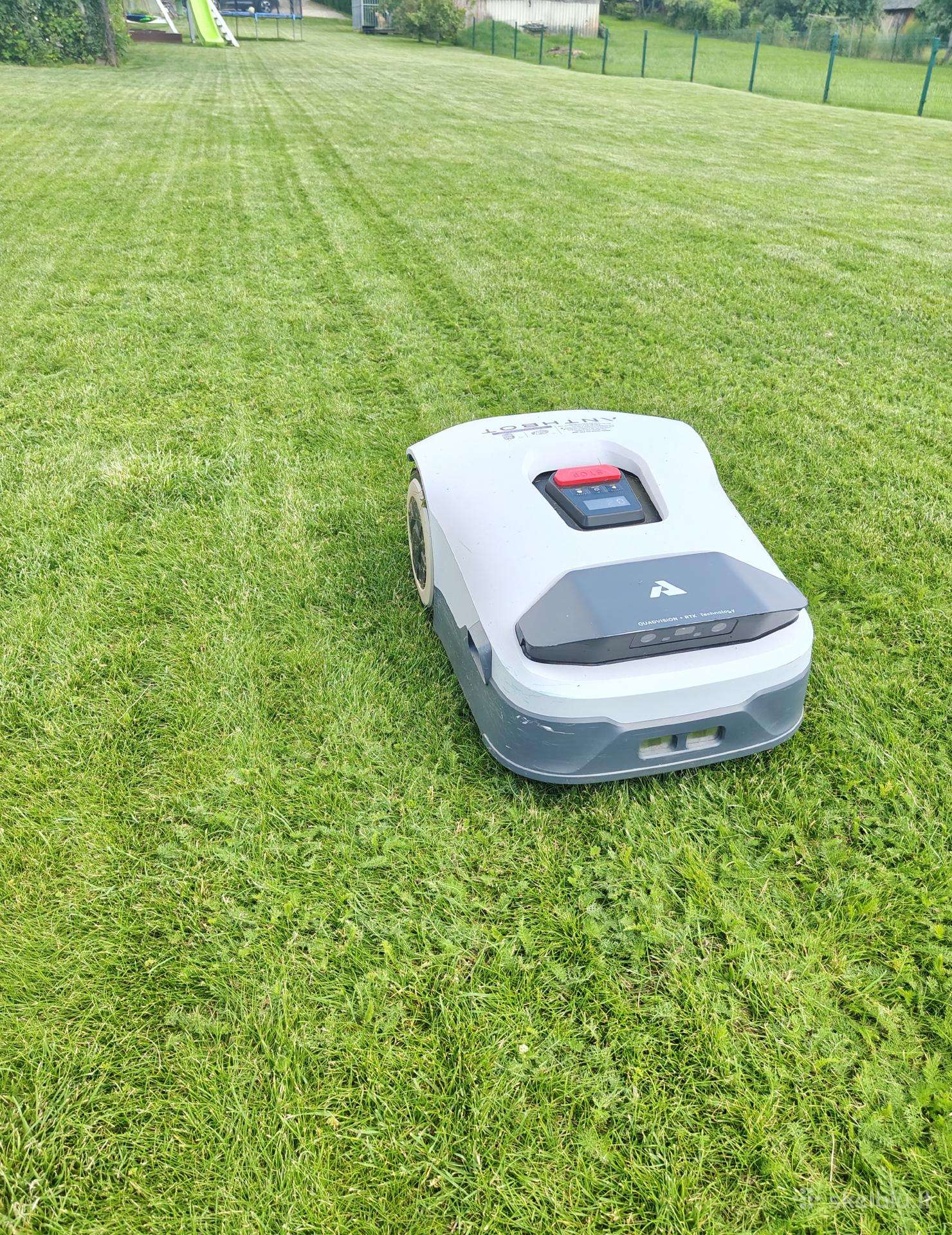 Anthbot gene 600