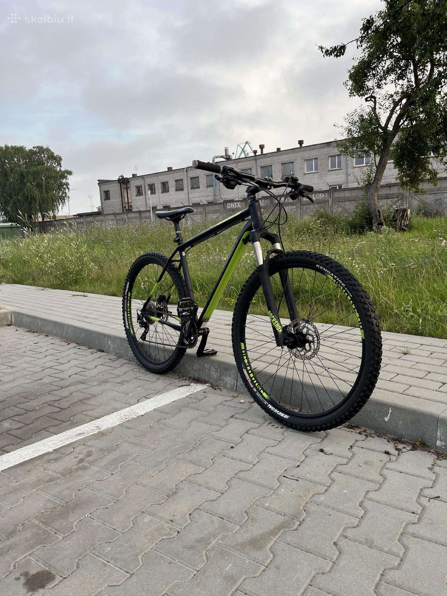 Cannondale Trail 29 XL