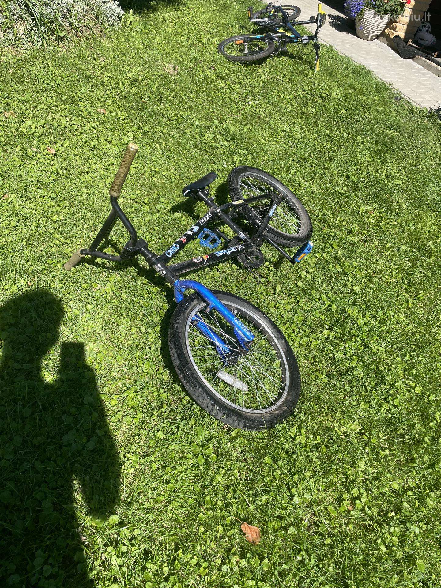 BMX