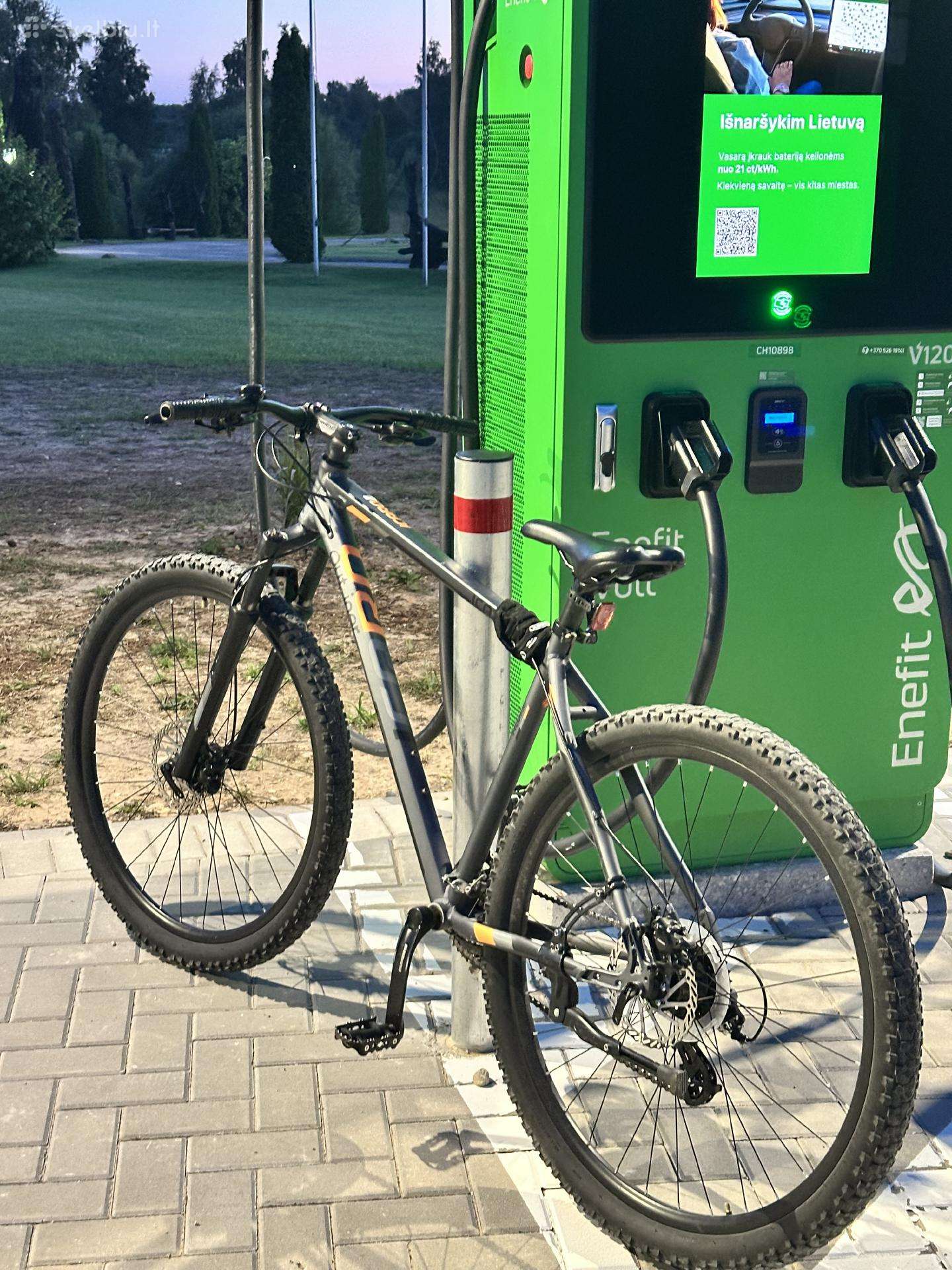 Outliner Icaro, Hardtail kalnų dviratis