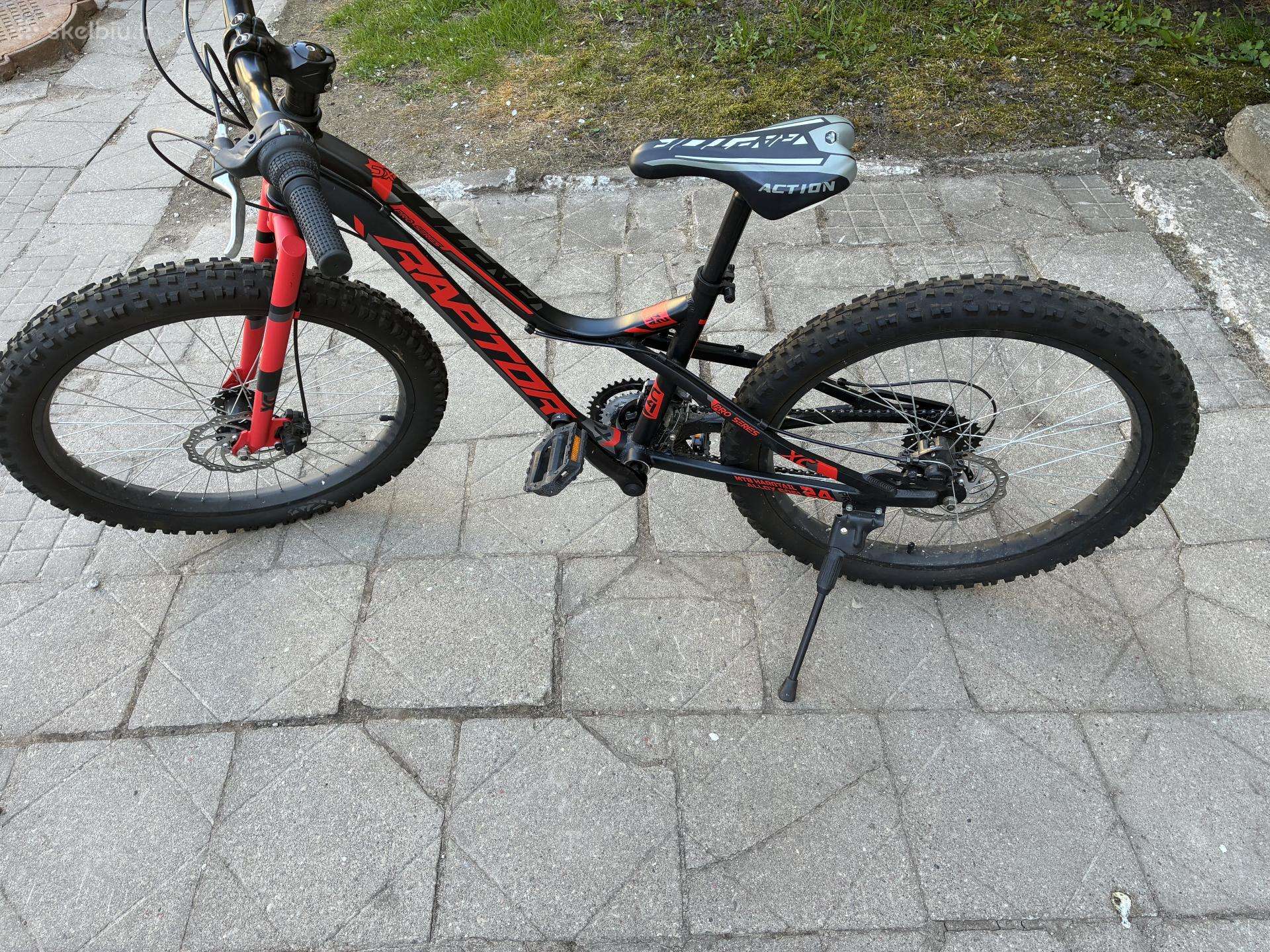 MTB kalnų dviratis Raptor 24"