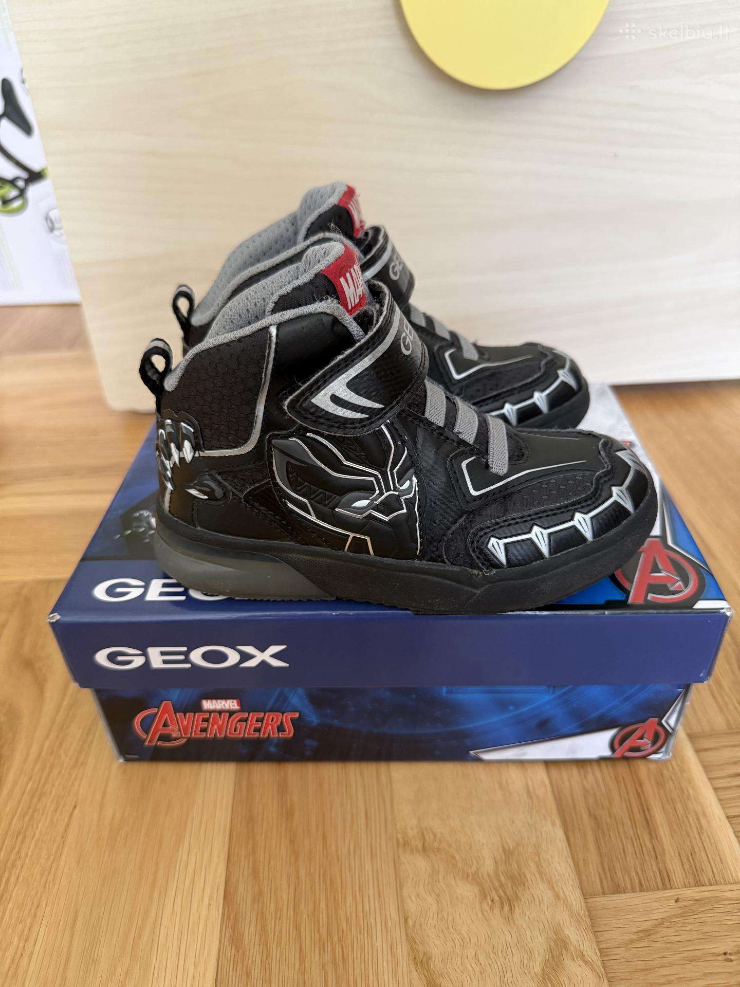 Geox batukus