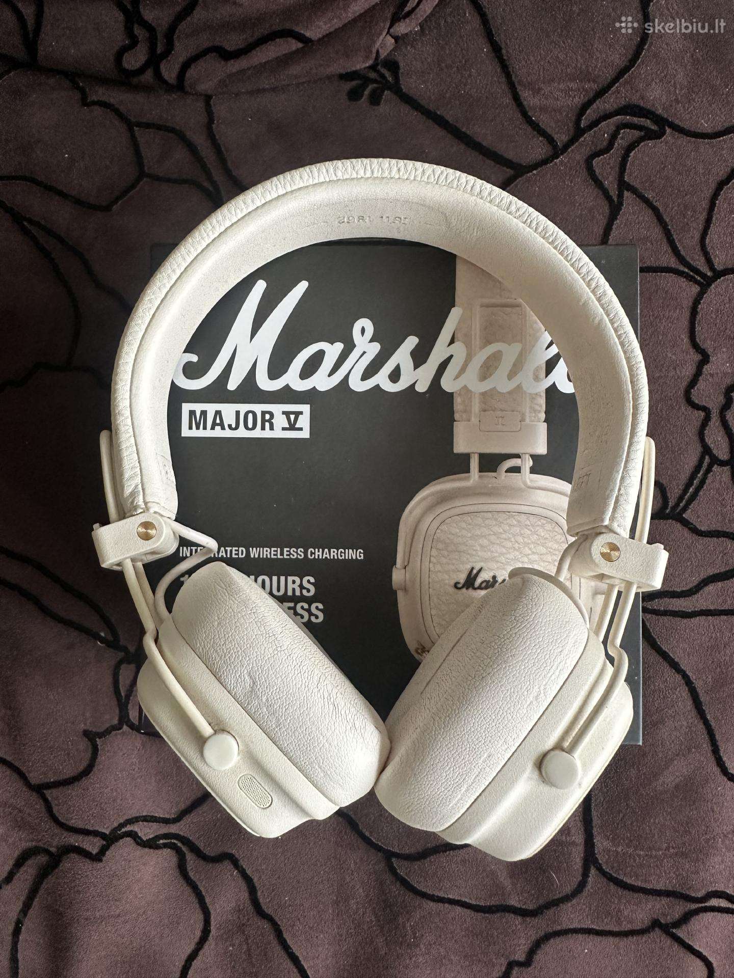 Marshall major 5 ausinės