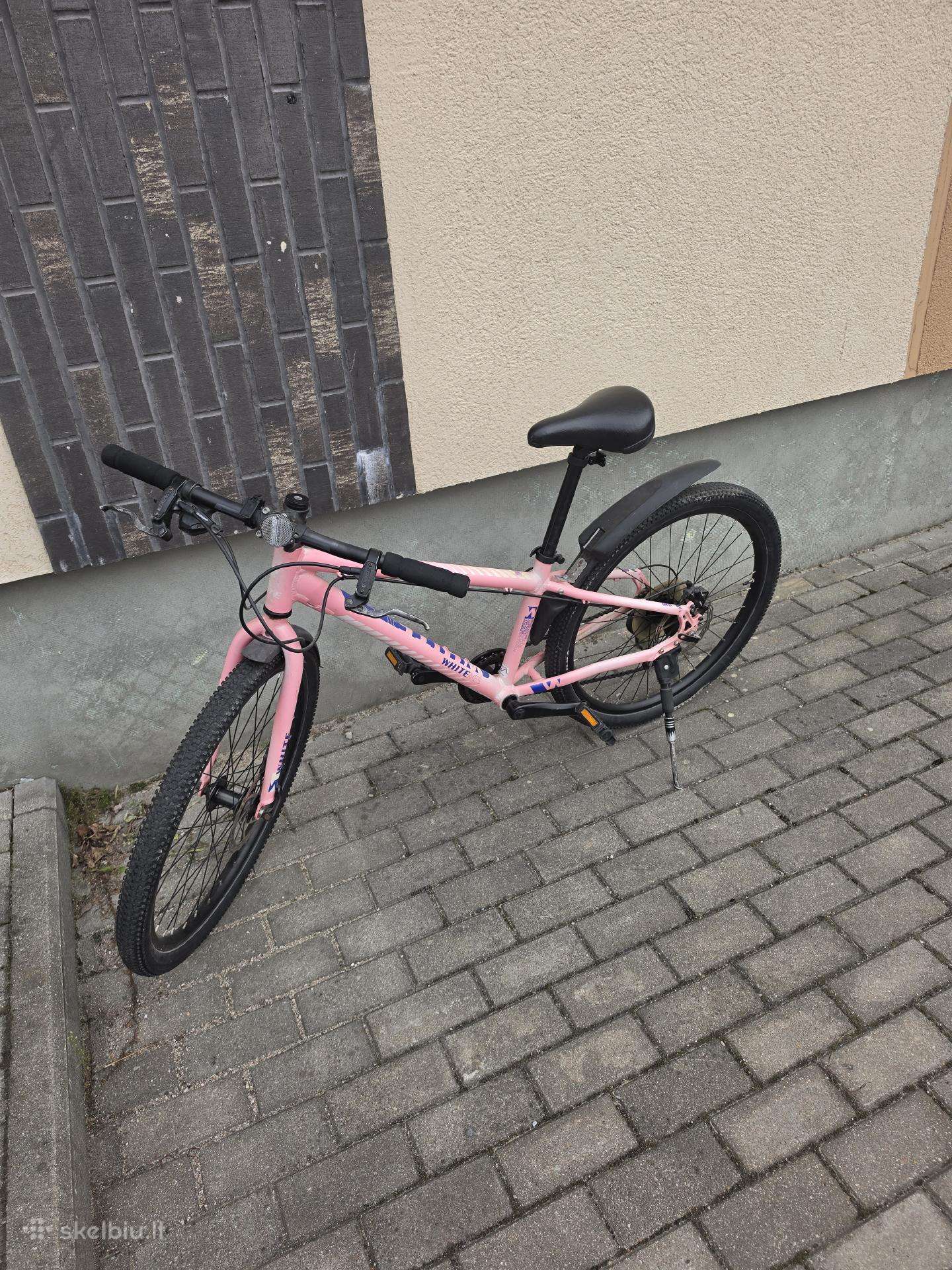 Dviratis mergaitei 8-10m, ratai 24 colių