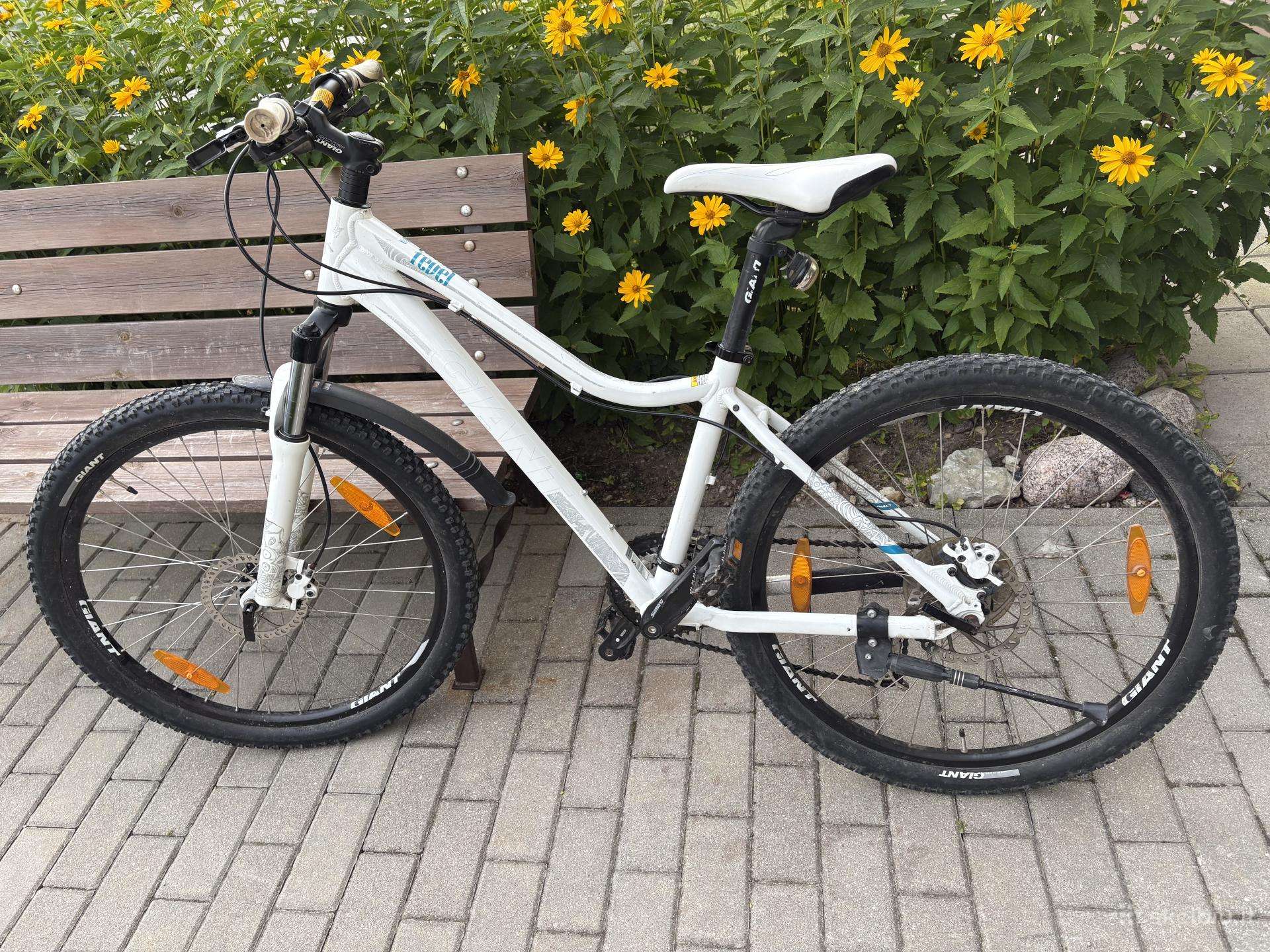 MTB dviratis