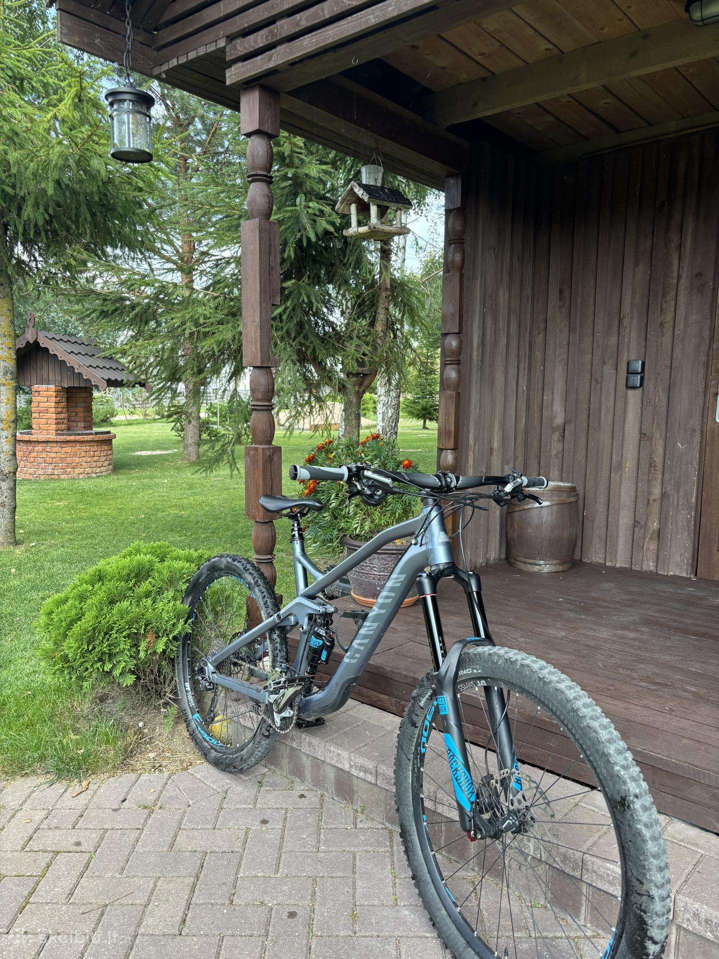 Canyon Strive AL