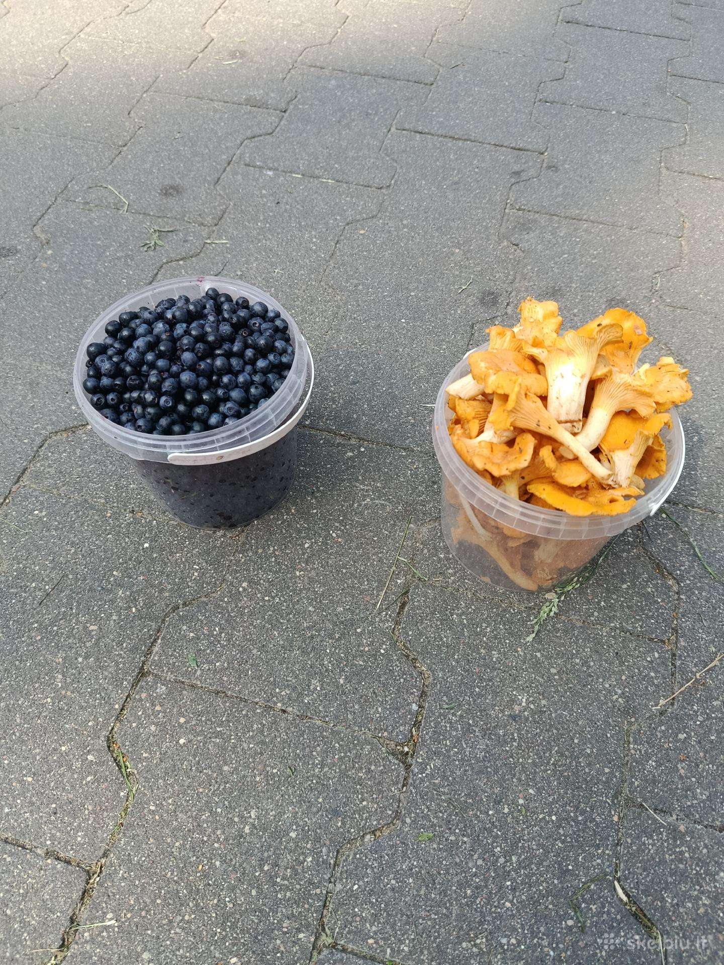 Parduodu voveraites