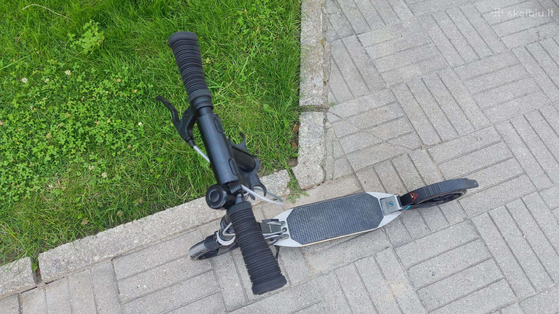 For adults scooter -kita-
