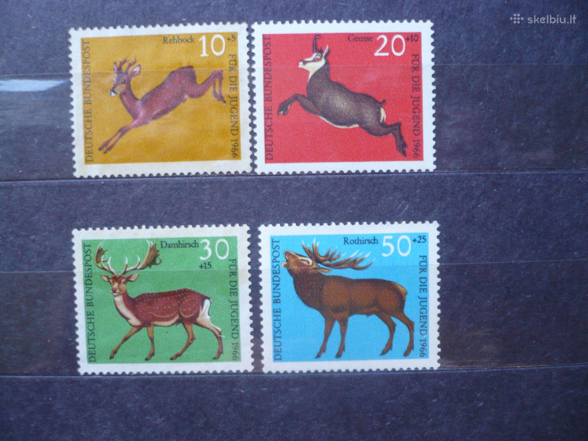 1966 m. jaunimo nakvynės namai – laukinė gamta