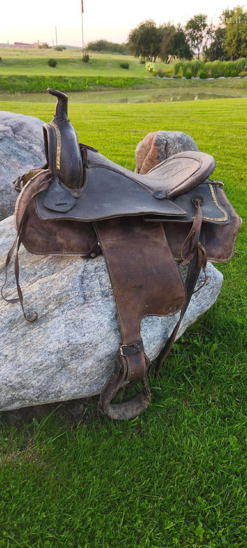 Balnas arkliui