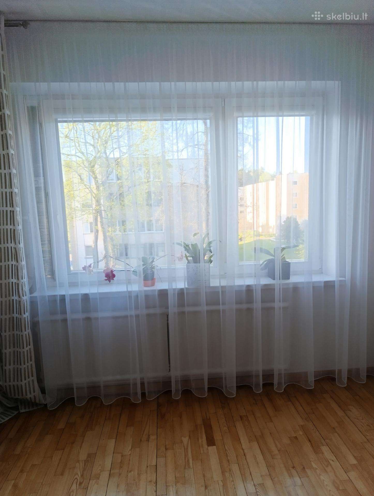 Dieninės užuolaidos