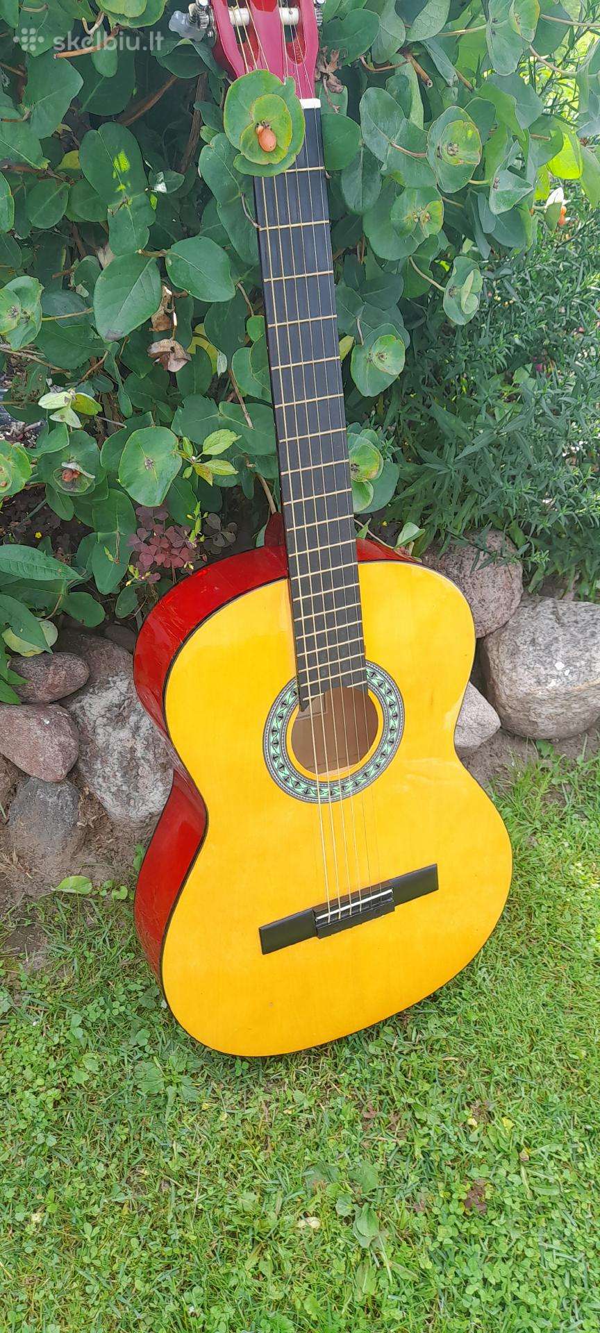 Gitara