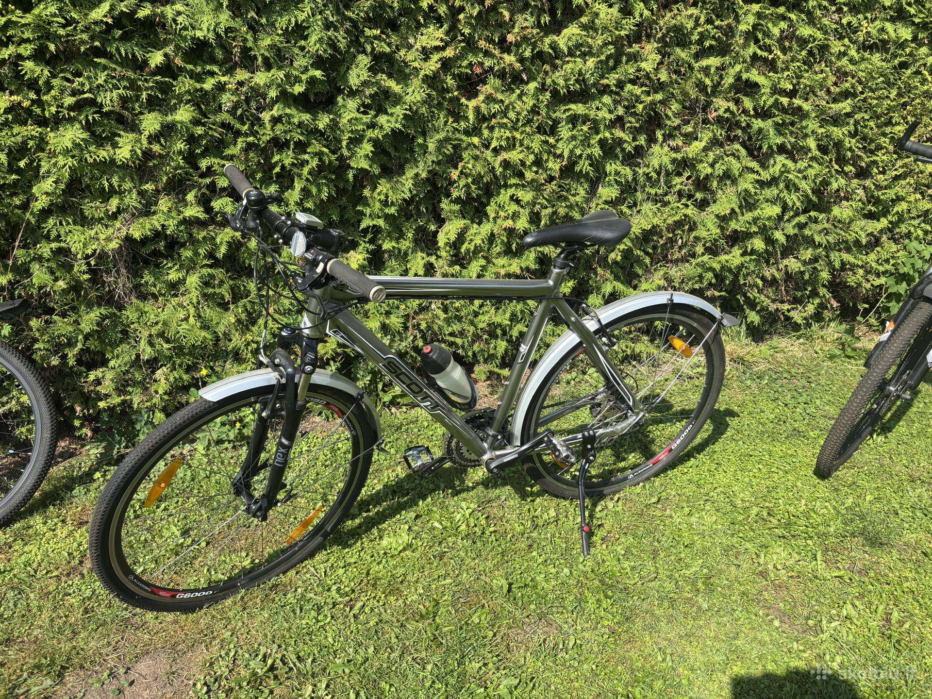 Dviratis XL 26