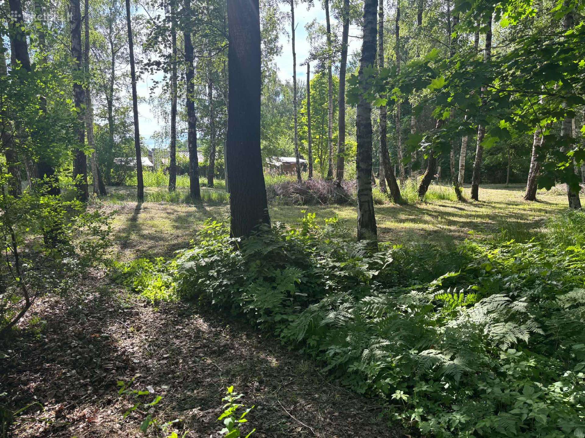 Parduoti