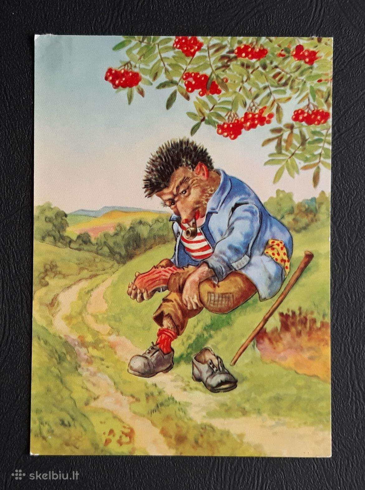 Vokietija Ežiukai 014 švari