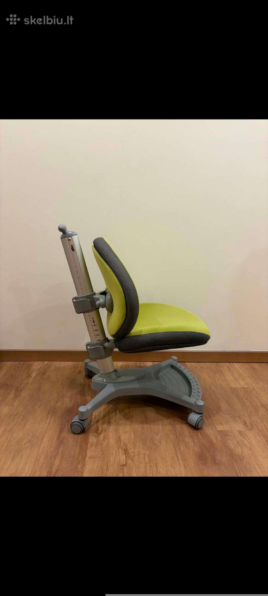 Ergonomine Mayer kede