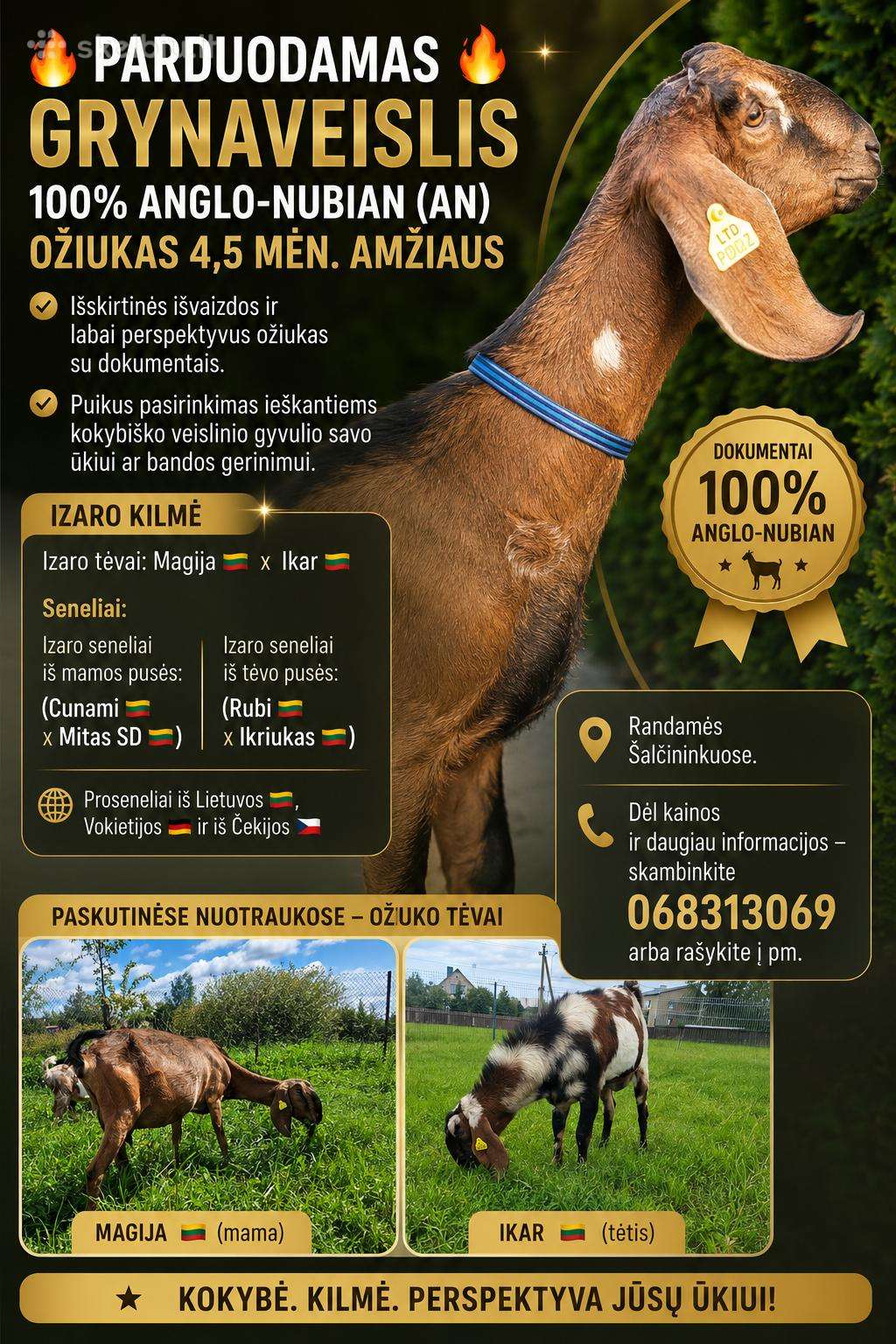 100% An ožiukas 4,5 mėn.