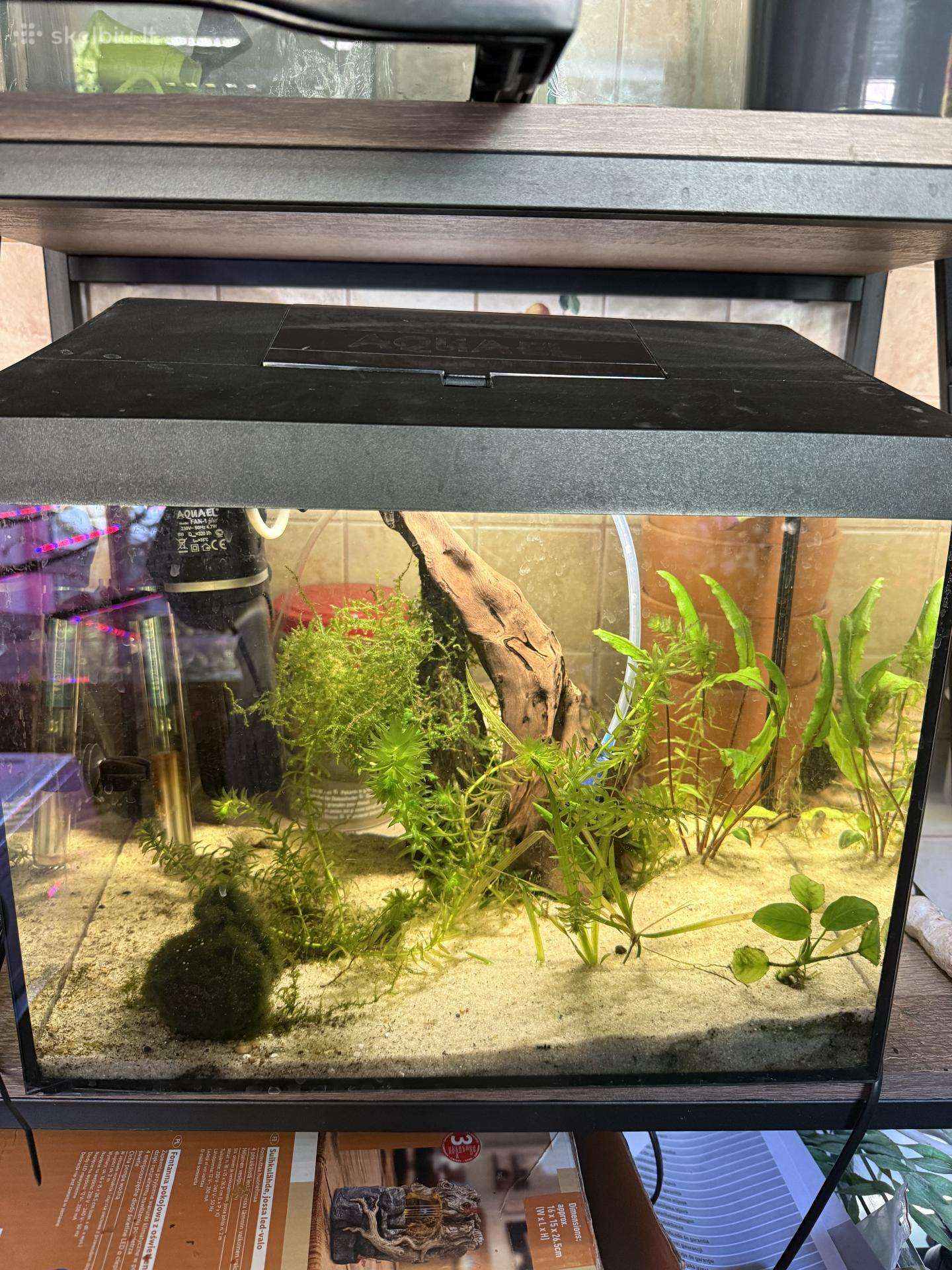 Akvariumas 40-30-30