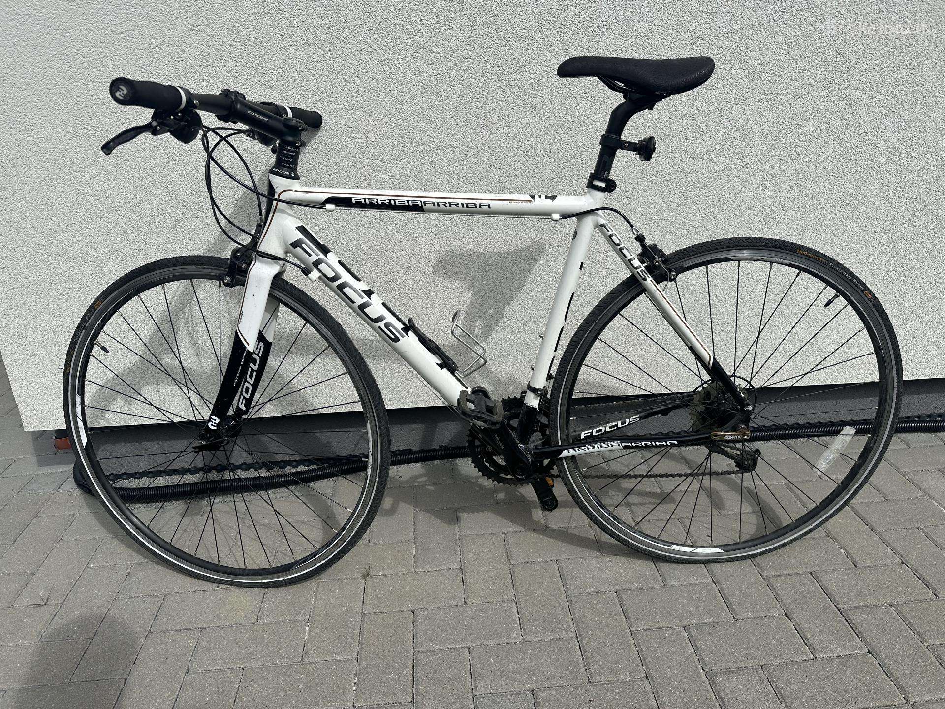 Focus Arriba 2.0 – Shimano Sora, M dydis,