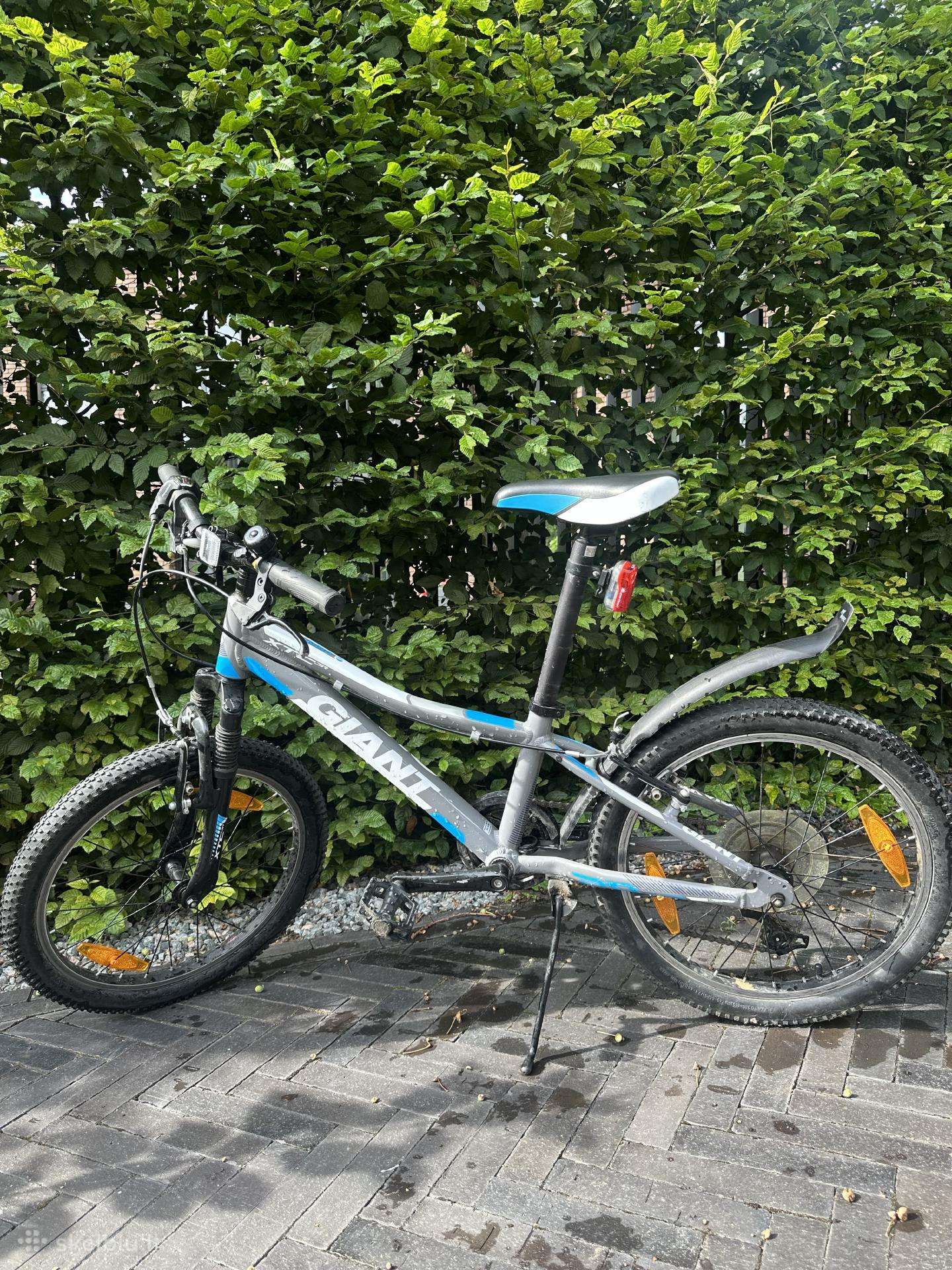 Giant XTC Jr