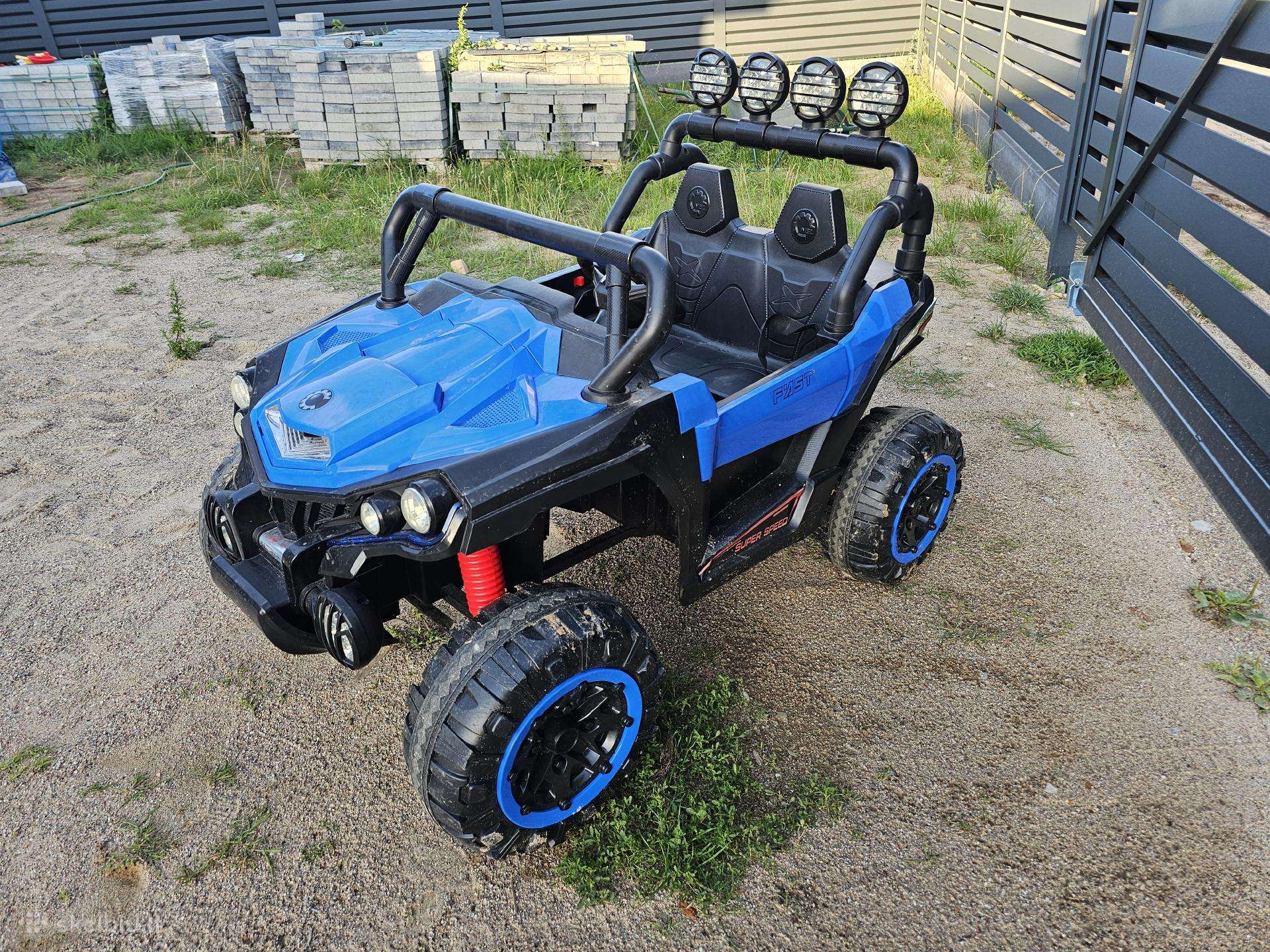 Elektro automobilis