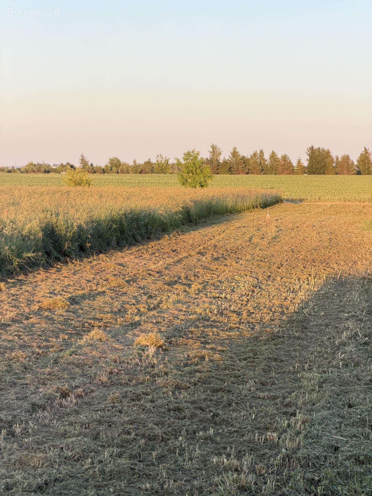 PADAGAS, šienapjovės / smulkintuvai