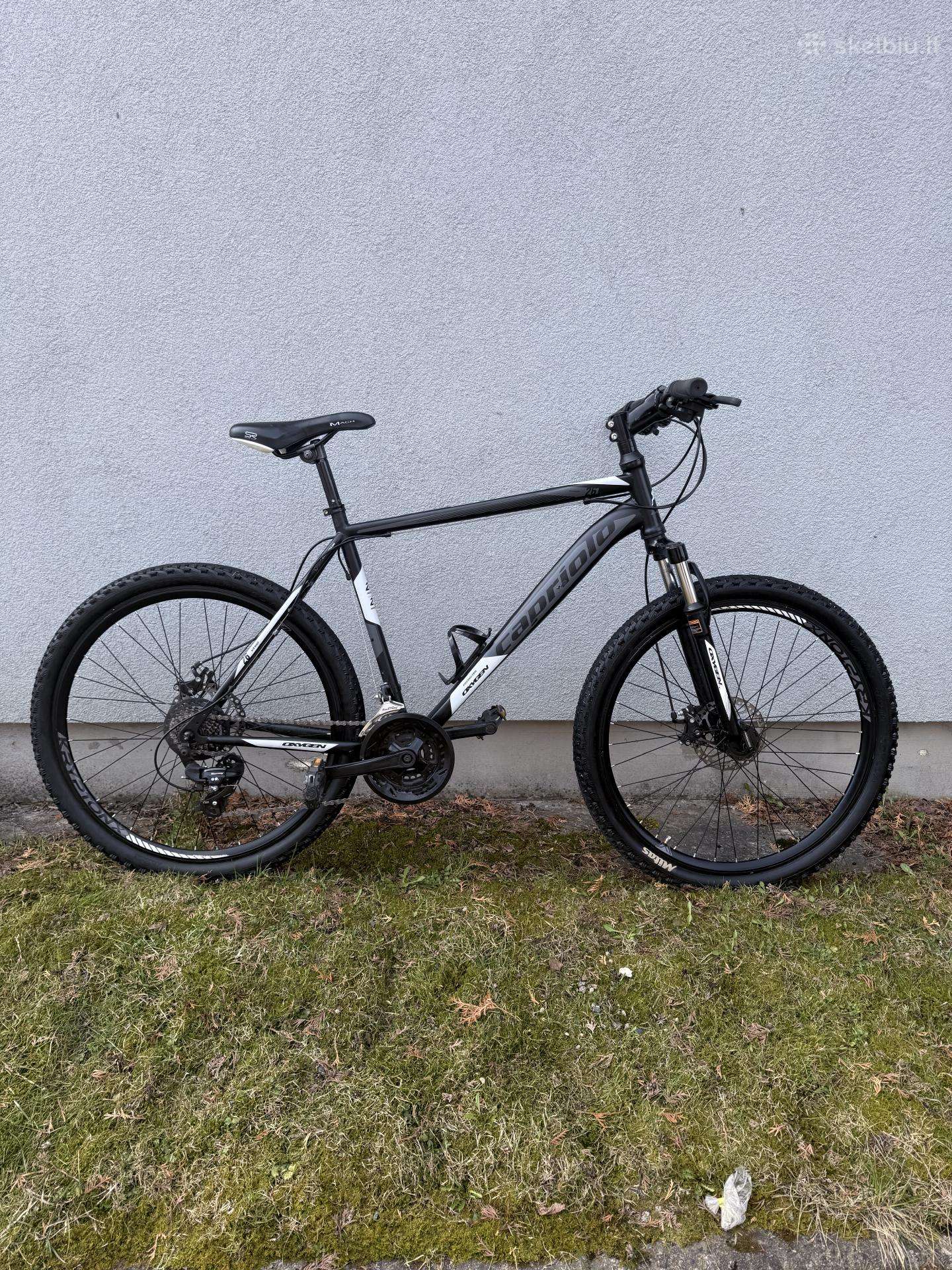 MTB dviratis L