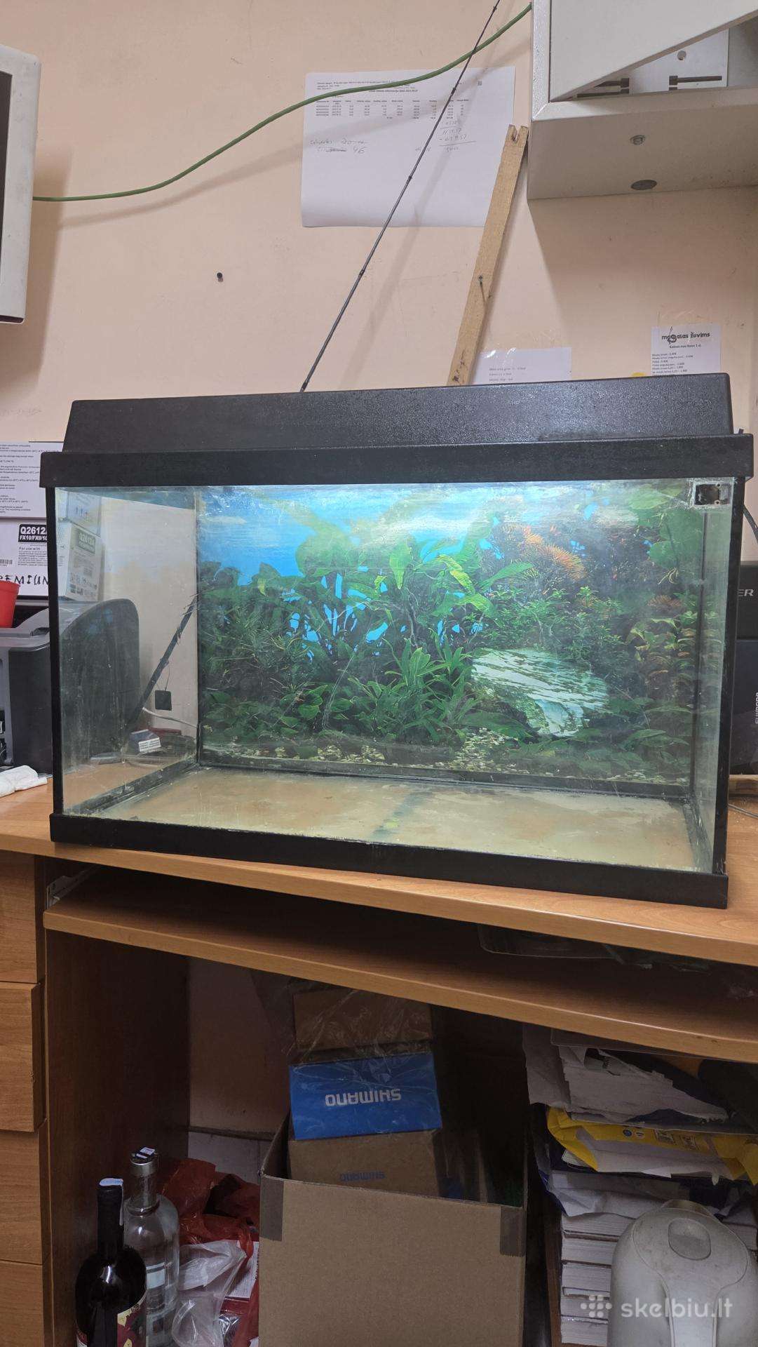 Juwel akvariumas