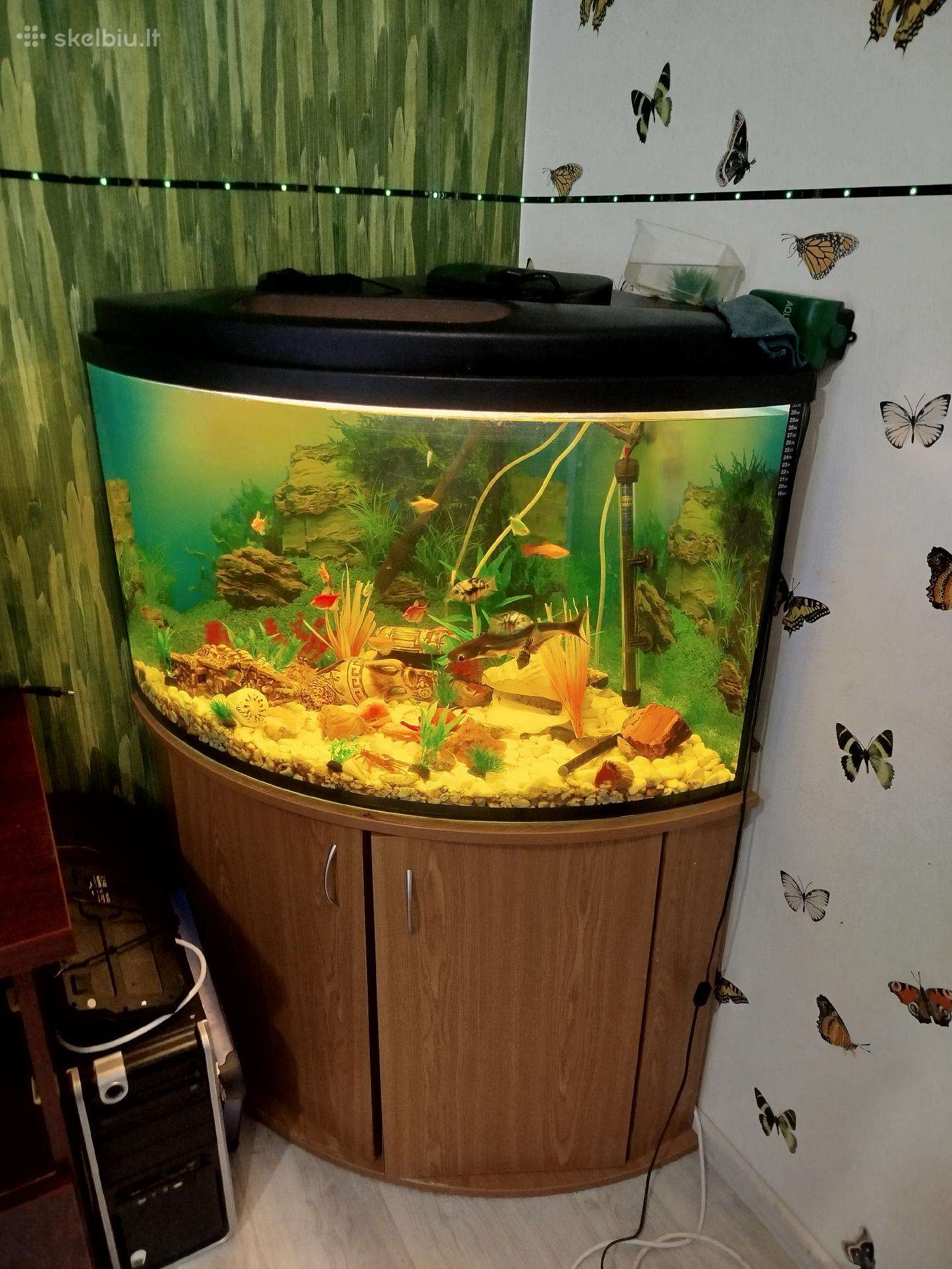 Akvariumas 250l
