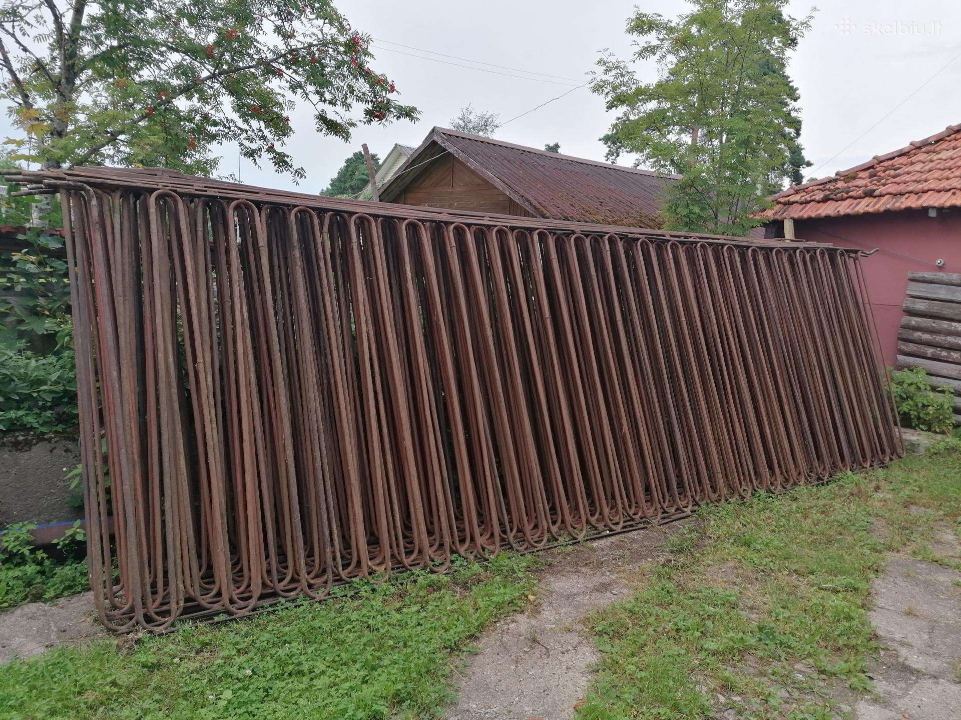 Parduodu vamzdžių gyvatukus
